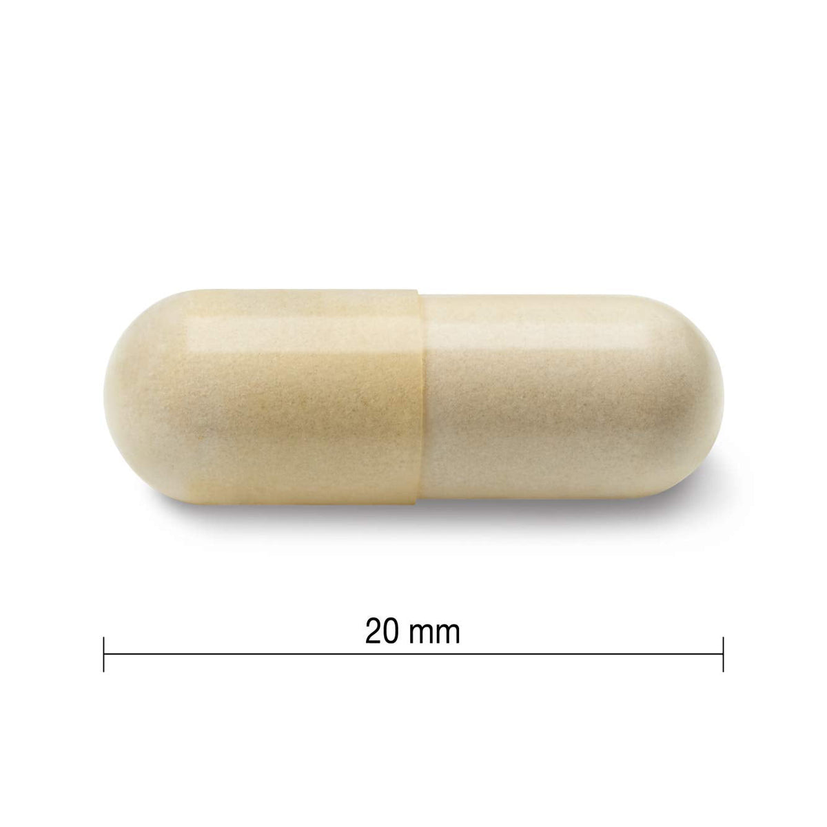 Jamieson Glucosamine 500 mg, Provides Joint Pain Relief, Osteoarthritis Support, and Cartilage Deterioration Protection. Non-GMO, Gluten-Free, 360 Capsules, Proudly Canadian ๐ All In One Marketplace Canada