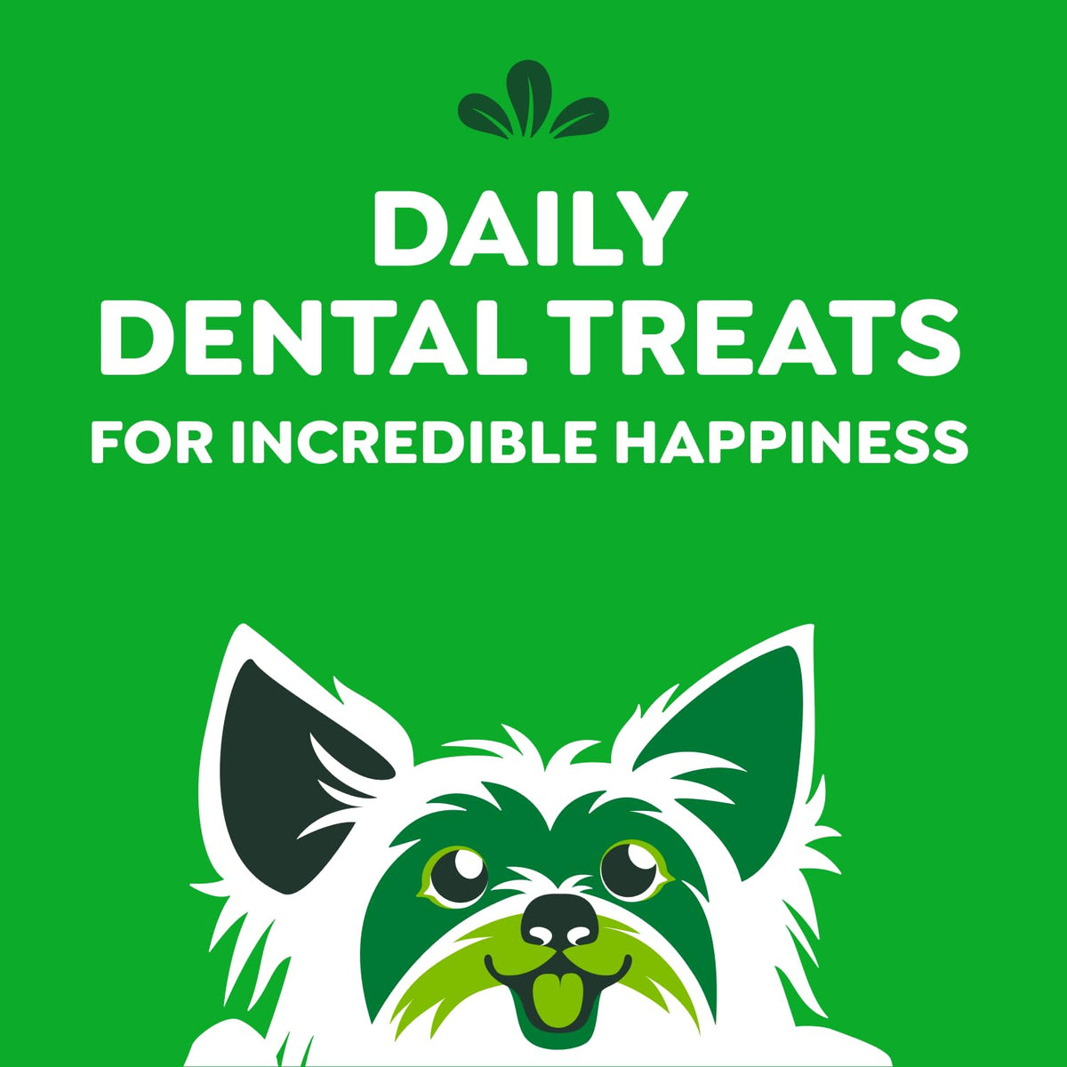 Greenies Adult Dog Treats, 765g ๐ All In One Marketplace Canada