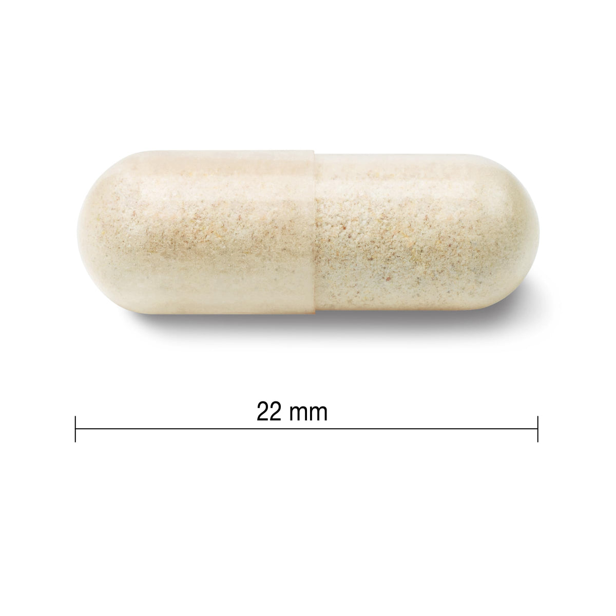 Jamieson Probiotic 60 Billion Active Cells, Ultra Strength, Supports Digestive Health and Intestinal Health. 9 Unique Strains, Including Lactobacillus and Bifidobacterium, Non-GMO, Gluten-Free, 24 Vegetarian capsules ๐ All In One Marketplace Canada