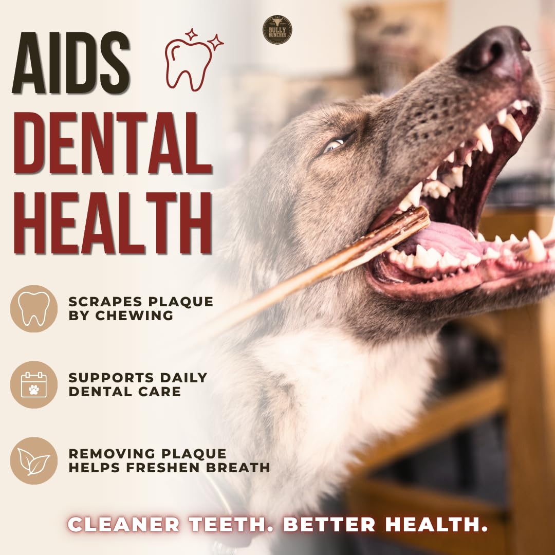 Bully Bunches Premium (6" Standard - 5 Pack) Odour-Free, Consistently Sized Bully Sticks for Small & Medium Dogs & Puppies, Long-Lasting Oral Care Chews, All-Natural Single-Ingredient Beef, No Rawhide π All In One Marketplace Canada