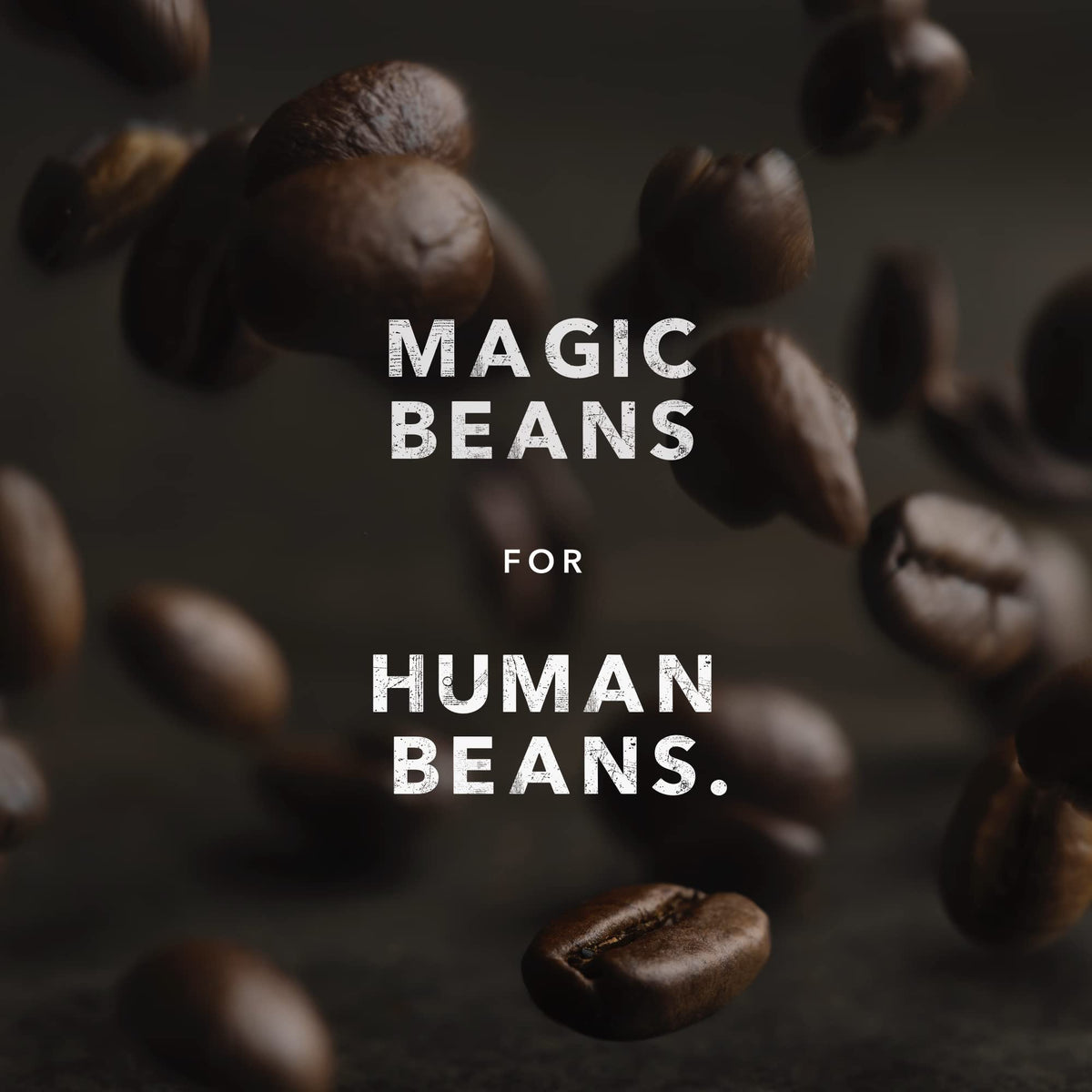 Kicking Horse Coffee - Three Sisters Blend, Ground 100% Arabica Coffee | Medium Roast | All Organic & Fairtrade | 708 g π All In One Marketplace Canada