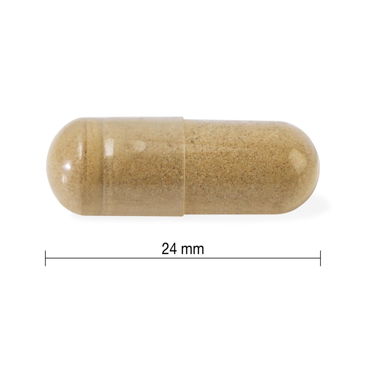 Jamieson High-Potency Ashwagandha 6,000 mg, Increases Resistance to Stress, Adaptogen, and Enhances Memory. Non-GMO, Vegetarian, Gluten-Free, Only One Per Day, 60 Capsules ๐ All In One Marketplace Canada