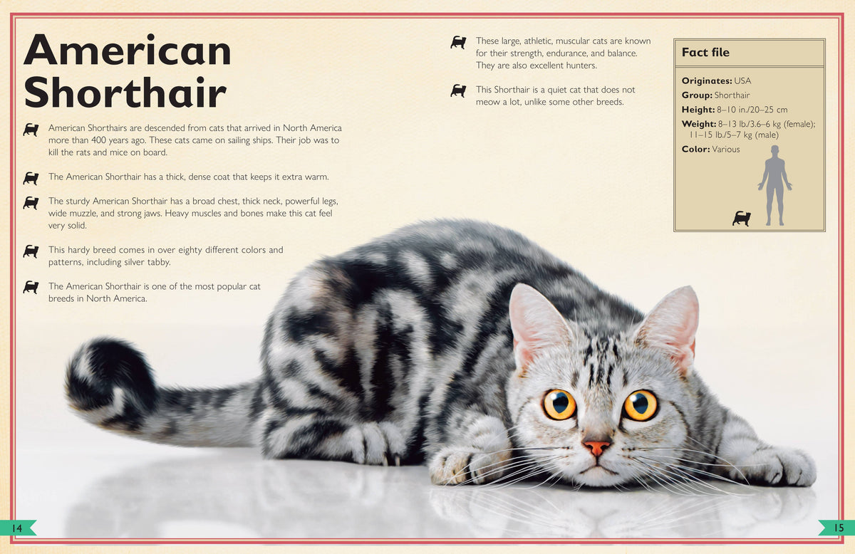 Insight Editions - The Magnificent Book of Cats - Ages 6+
