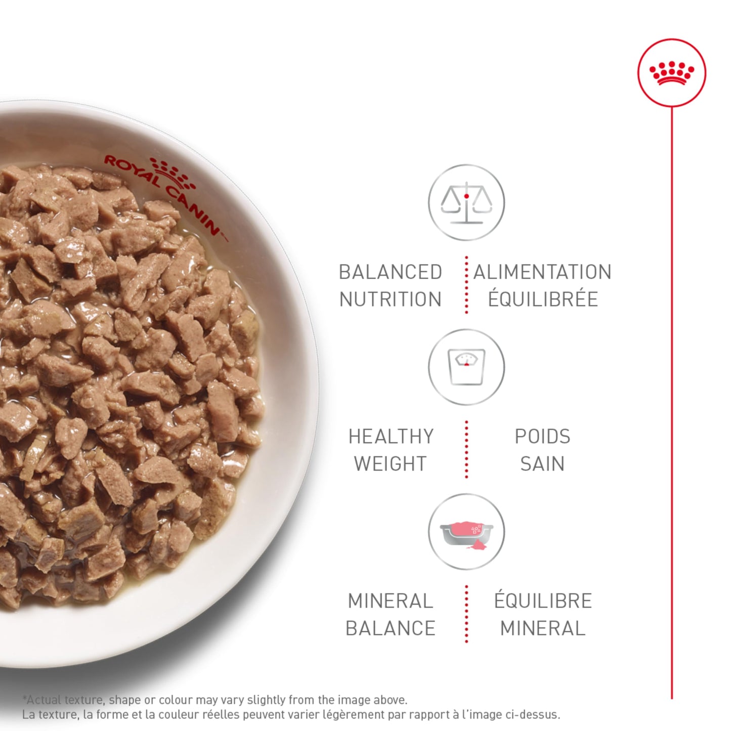 Royal Canin Adult Instinctive Thin Slices in Gravy Wet Cat Food, 3 oz can (12-Count) ๐ All In One Marketplace Canada