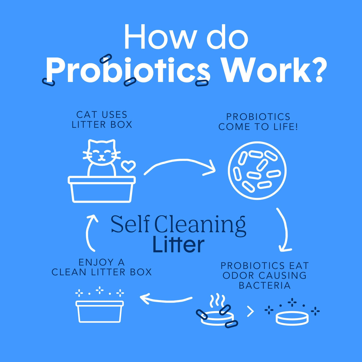 Boxie® Probiotic 40 Day Natural Odor Control Cat Litter, 28lb Clumping Clay Kitty Litter 🍁 All In One Marketplace Canada