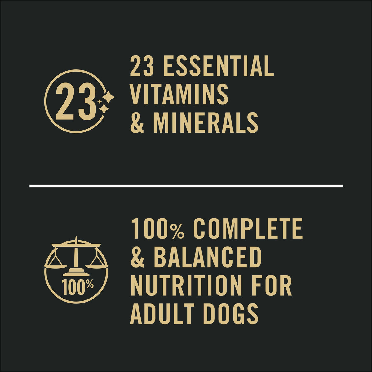 Purina Pro Plan Sensitive Skin & Stomach Wet Dog Food, Salmon & Rice - 368 g Can (12 Pack) ๐ All In One Marketplace Canada