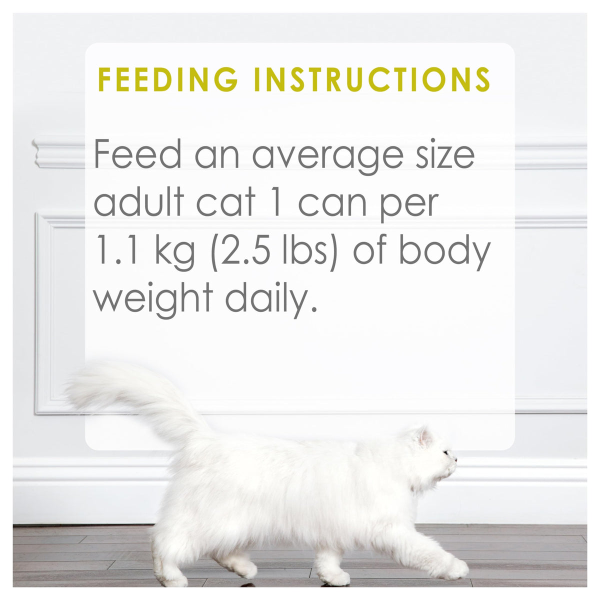 Fancy Feast Medleys Wet Cat Food, White Meat Chicken Primavera - 85 g Can (24 Pack) ๐ All In One Marketplace Canada