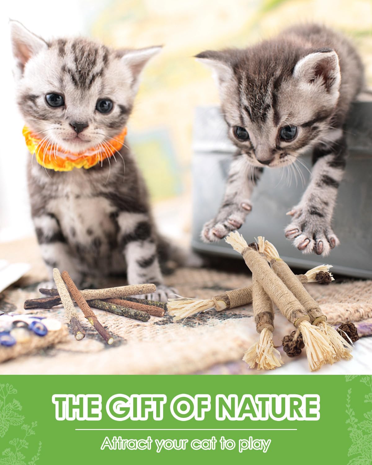 TINDTOP Silvervine Sticks for Cats, 10 Pack Natural Catnip Chew Toys for Kittens Teeth Cleaning, Matatabi Dental Care, Increase Appetite, Calm Cat Anxiety and Stress, Aggressive Chewers Cat Dental Toy 🍁 All In One Marketplace Canada