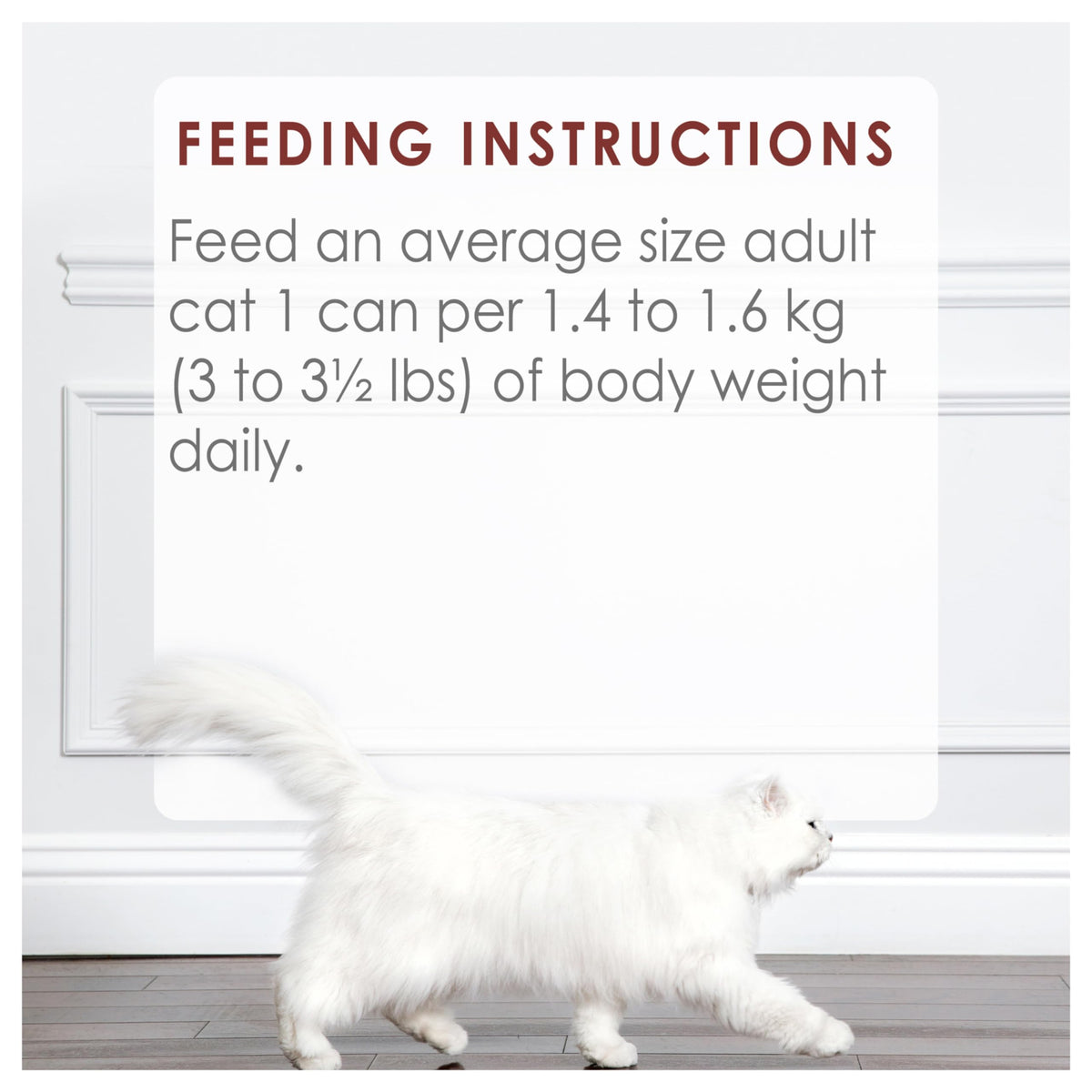 Fancy Feast Chunks Wet Cat Food, Beef Flavour in Gravy - 85 g Can (24 Pack) ๐ All In One Marketplace Canada