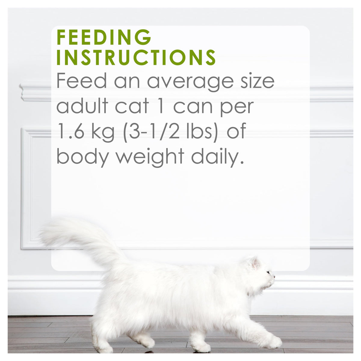 Fancy Feast Wet Cat Food, Pate Turkey & Giblets Feast - 85 g Can (24 Pack) ๐ All In One Marketplace Canada