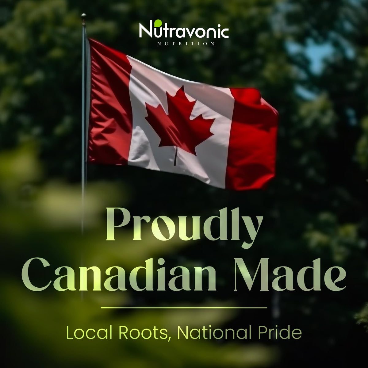 Nutravonic Berberine Supplements 1000mg Per Serving, 500mg Per Capsule | Made in Canada I Supports Healthy Glucose & Lipid Metabolism | Non-GMO, Vegan, Gluten-free, 120 Easy-to-Swallow Capsules ๐ All In One Marketplace Canada
