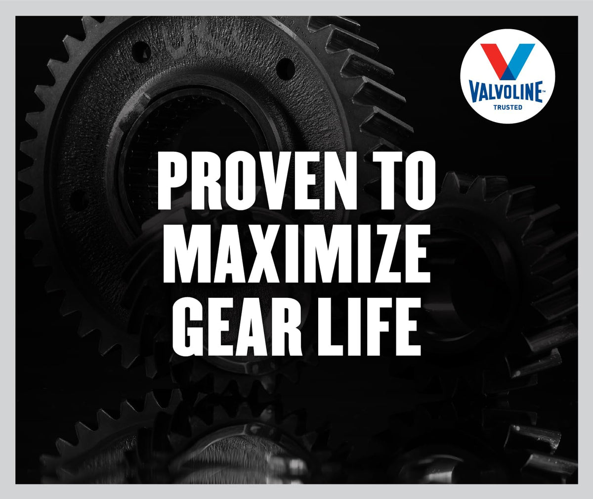 Valvoline Daily Protection 80W-90 Gear Oil 1 QT ๐ All In One Marketplace Canada