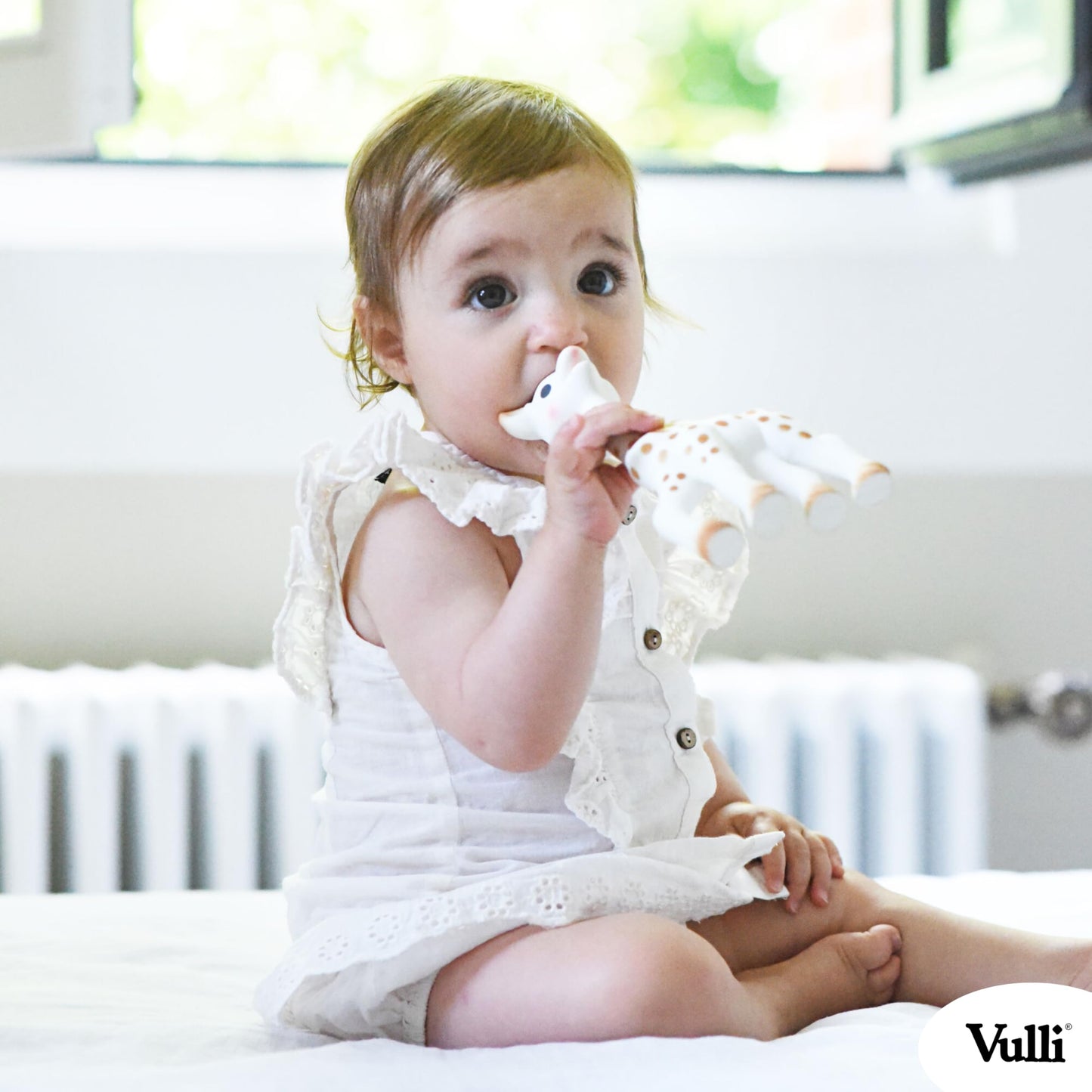 Sophie la Girafe - So Pure Box - Original Baby Teething Toy 100% Natural Rubber - BPA-Free, Non-Toxic, Vegan, Sensory Stimulating Teether for Newborns 0+ Months - 616331 🍁 All In One Marketplace Canada