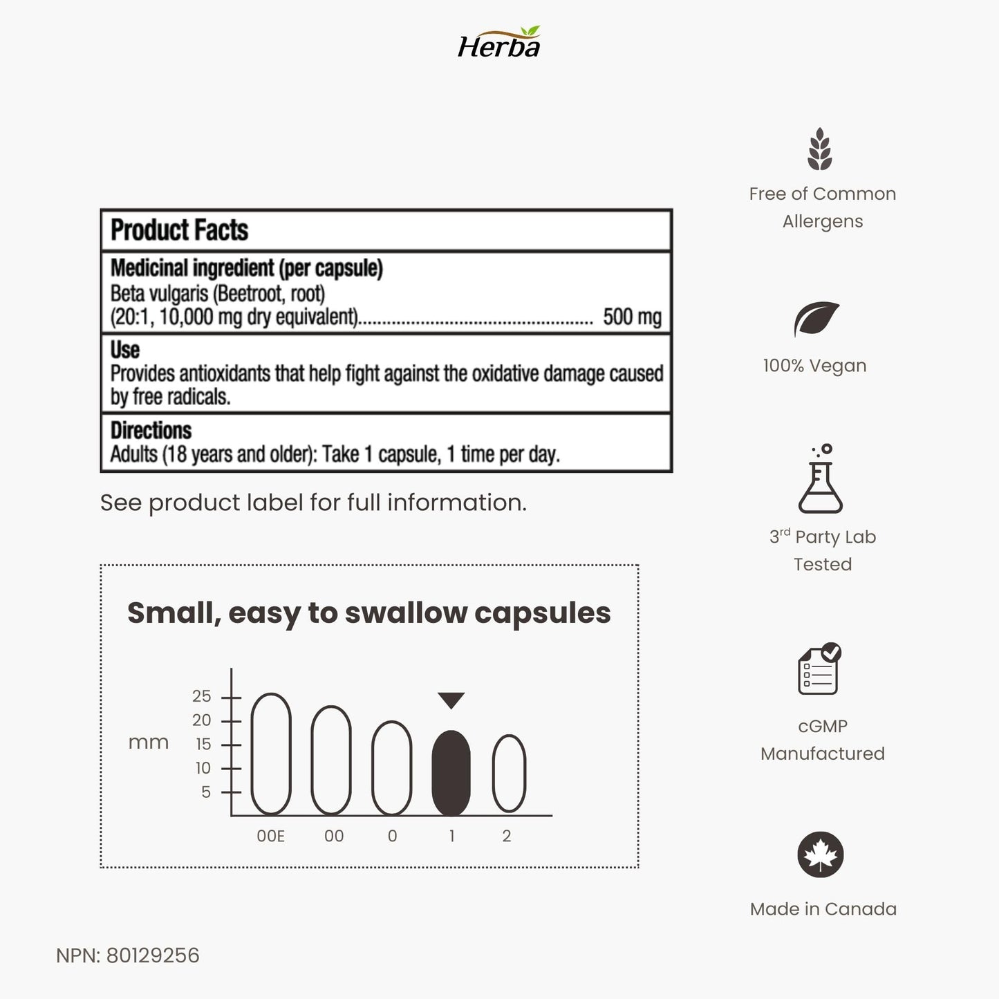 Herba 10,000mg Organic BeetRoot Capsules โ 180 Count | 20:1 Beet Root Powder in Capsule | Nitric Oxide Supplements for Men & Women | Made in Canada ๐ All In One Marketplace Canada