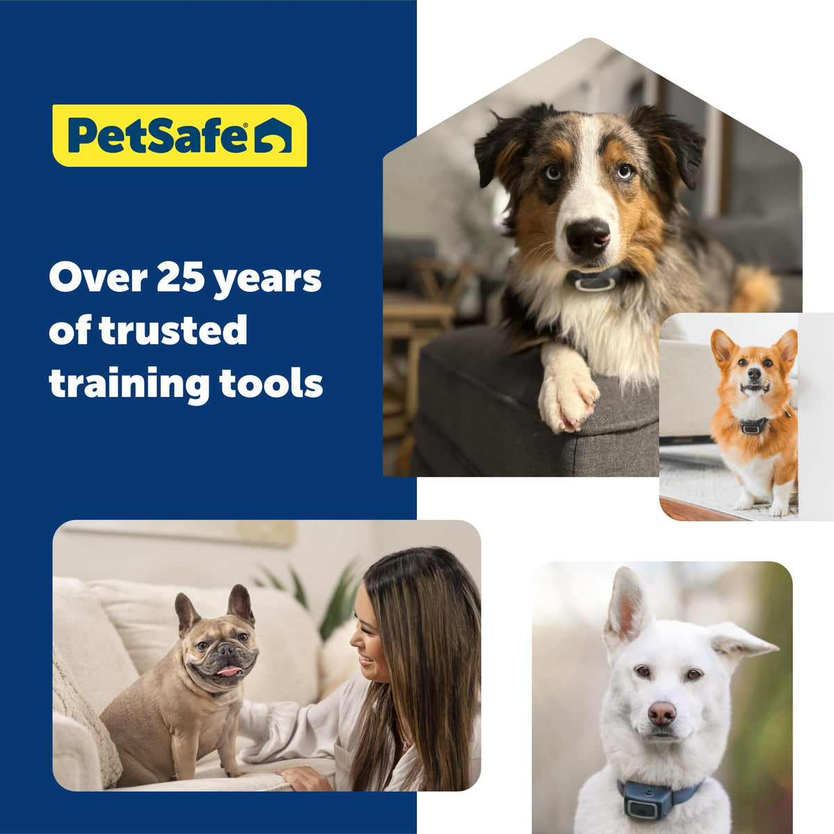 PetSafe Citronella Spray Can Refill for Dog Spray Bark Control Collars and Remote Trainers π All In One Marketplace Canada