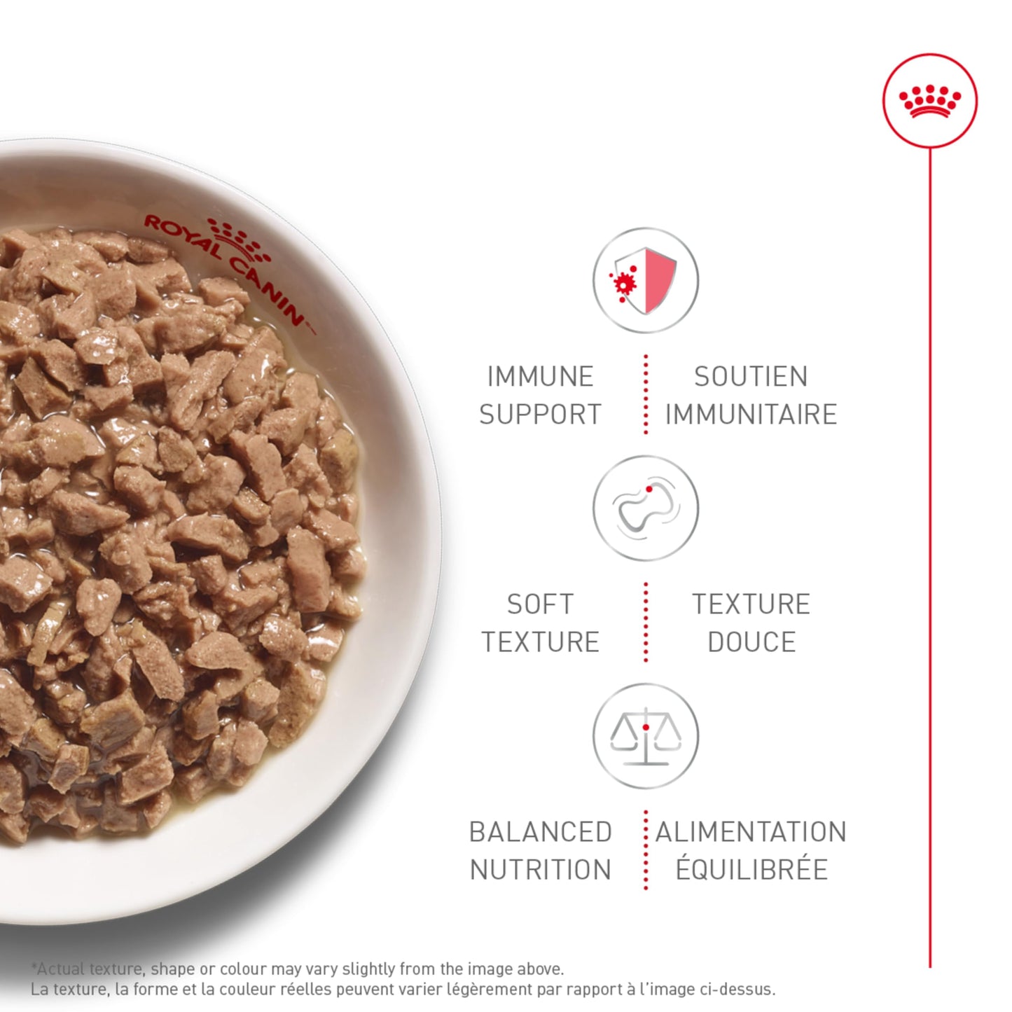 Royal Canin Feline Health Nutrition Kitten Thin Slices in Gravy Canned Cat Food, 3 oz can (12-Count) š All In One Marketplace Canada