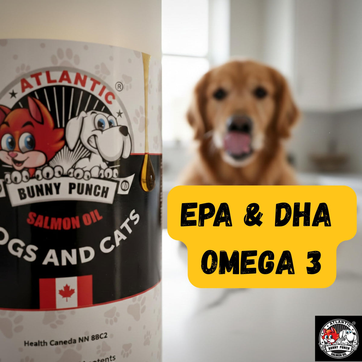 Bunny Punch Pure Atlantic Salmon Oil for Dogs & Cats - Liquid Food Topper - 32 oz đ All In One Marketplace Canada