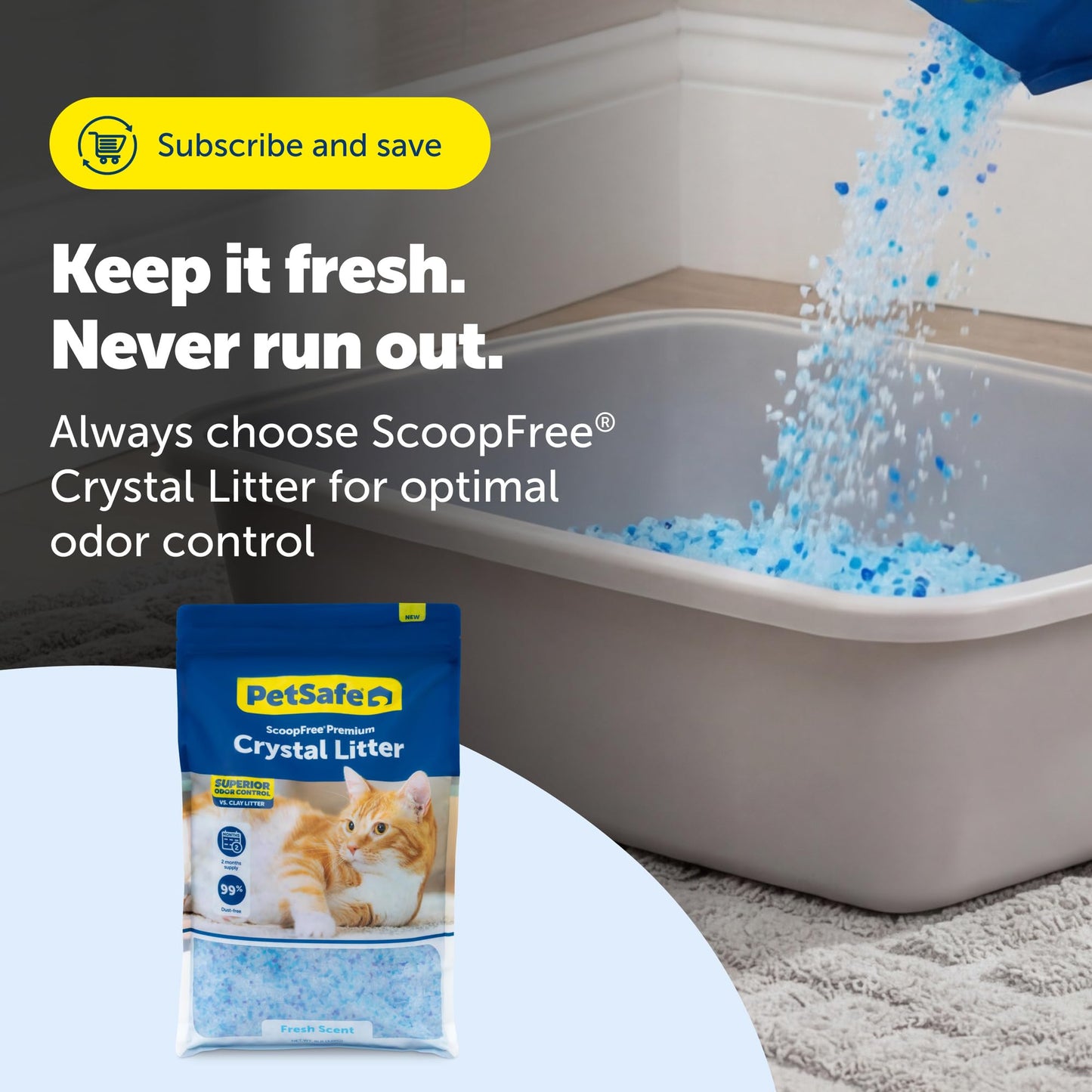 ScoopFree Premium Fresh Scent Crystal Litter, Superior Odor Control, Absorbs 5X Faster, Low Tracking for Less Mess, Lasts up to 2 Months, Lightly Scented (8 lb Bag) ๐ All In One Marketplace Canada