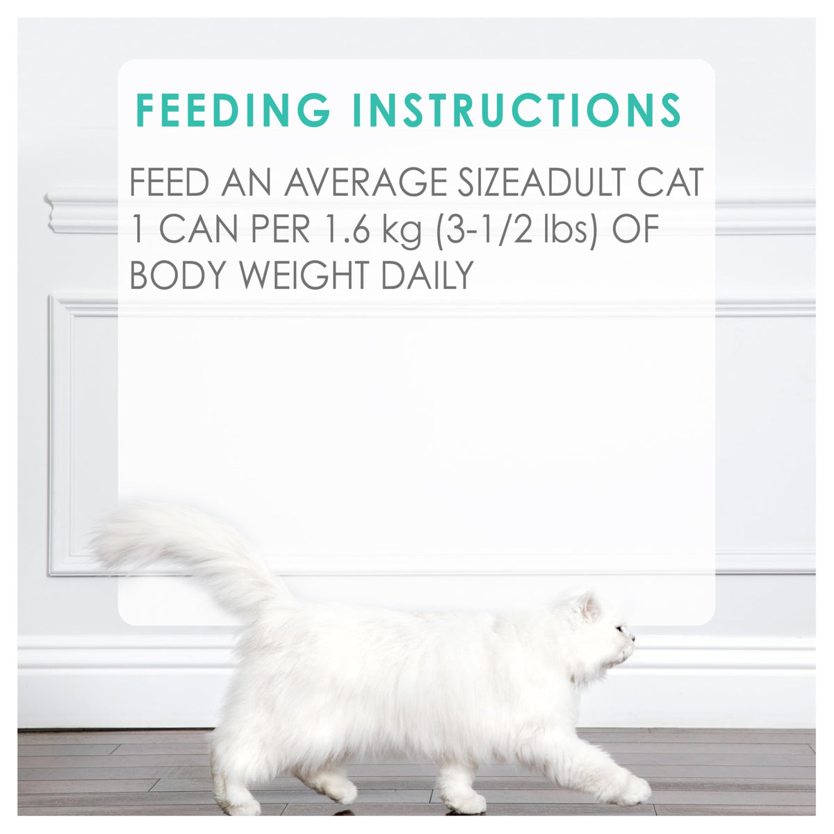Fancy Feast Wet Cat Food, Pate Beef Flavour - 85 g Can (24 Pack) ๐ All In One Marketplace Canada
