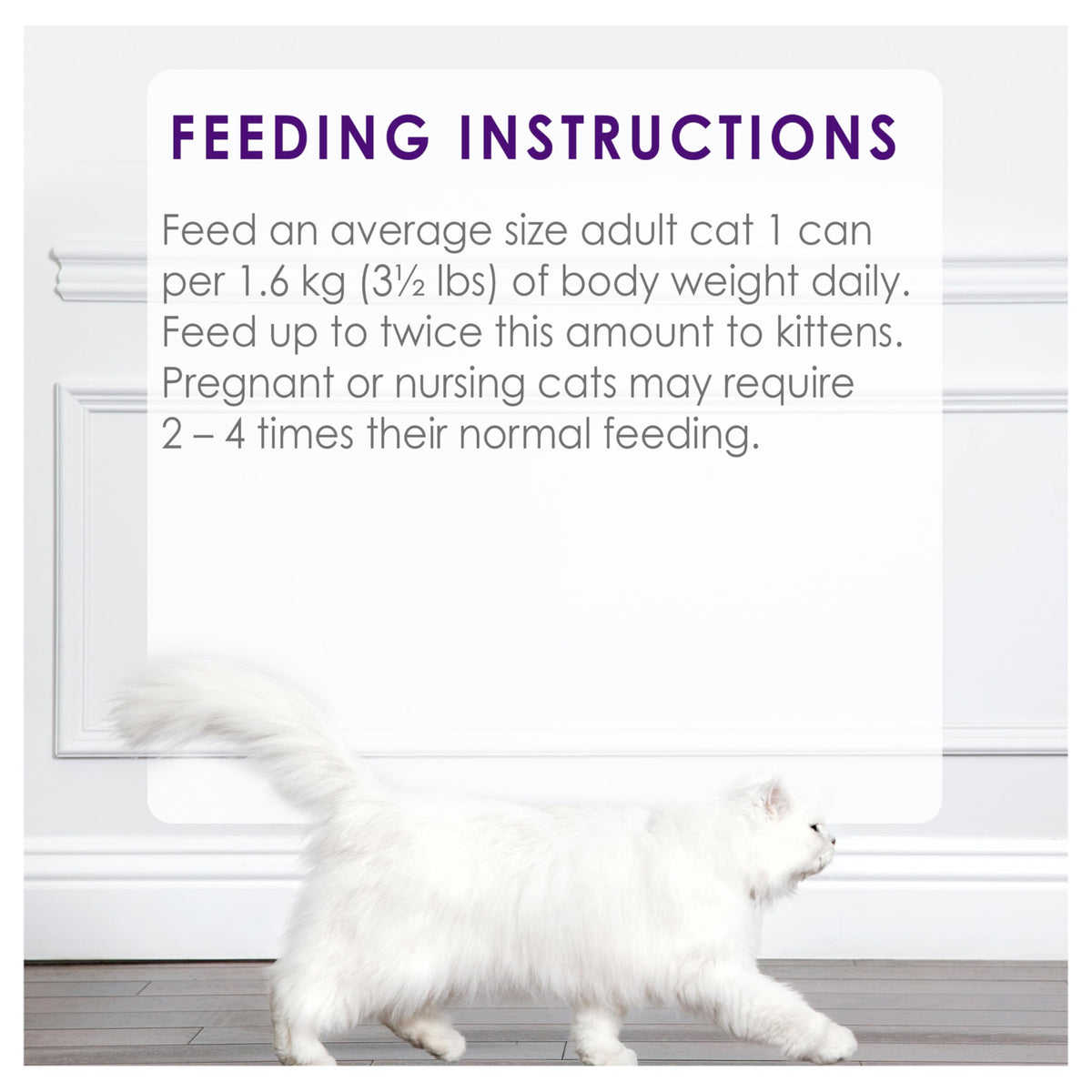 Fancy Feast Chunky Wet Cat Food, Chicken Feast - 85 g Can (24 Pack) ๐ All In One Marketplace Canada