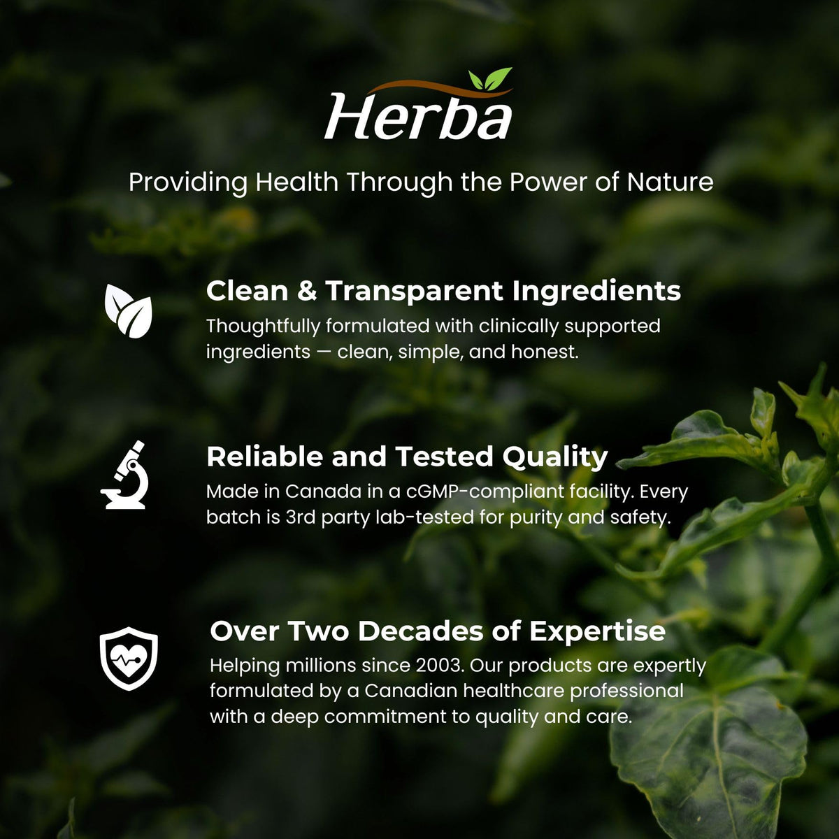Herba L-Citrulline Capsules 750mg โ 180 Capsules | 3,000mg Per Serving | Ultra Pure >98% | L Citrulline Nitric Oxide Supplement | Made & 3rd Party Tested in Canada ๐ All In One Marketplace Canada