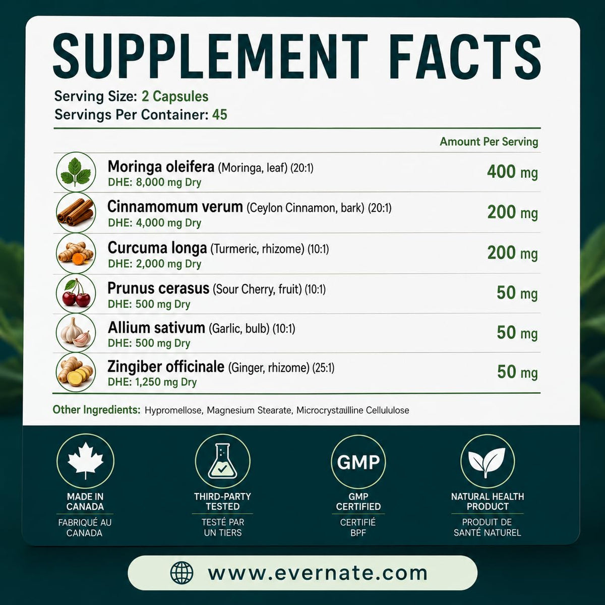 ALL-IN-ONE Moringa 8000 mg with Ceylon Cinnamon 4000 mg, Tart Cherry, Turmeric, Ginger & Garlic (Per Serving: 2 Capsules) โ Antioxidant, Detox, Energy & Metabolic Support โ Made in Canada ๐ All In One Marketplace Canada