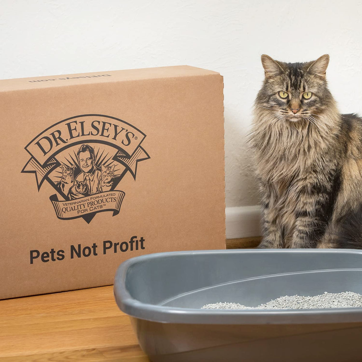 Dr. Elsey's R and R Cat Litter - Low Dust, Low Tracking, Hard Clumping, Superior Scent Control, Unscented and Natural Ingredients - Stress Reducing Kitty Litter, Supports Healthy Breathing ๐ All In One Marketplace Canada
