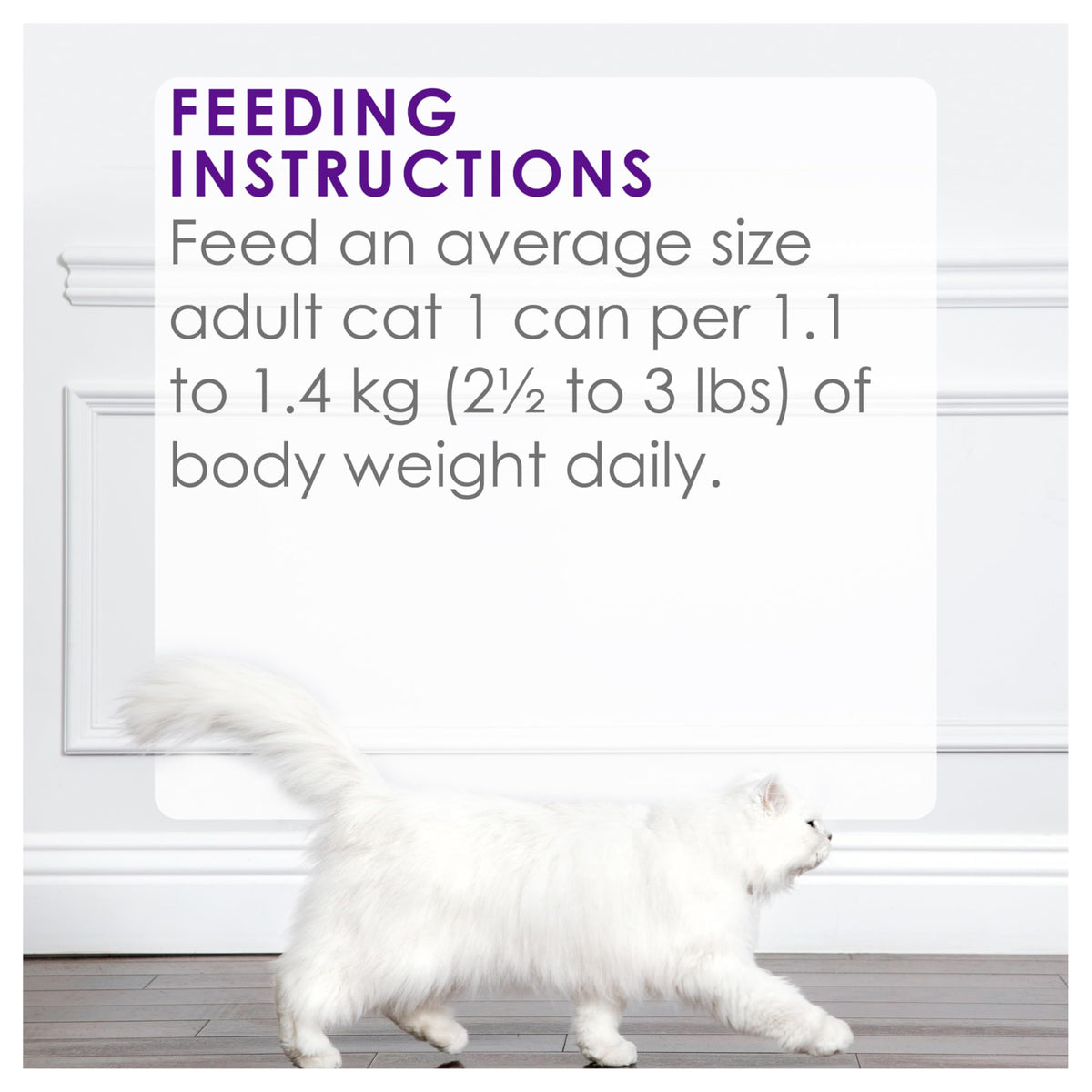 Fancy Feast Delights with Cheddar Wet Cat Food, Grilled Turkey & Cheddar Cheese Feast - 85 g Can (24 Pack) ๐ All In One Marketplace Canada