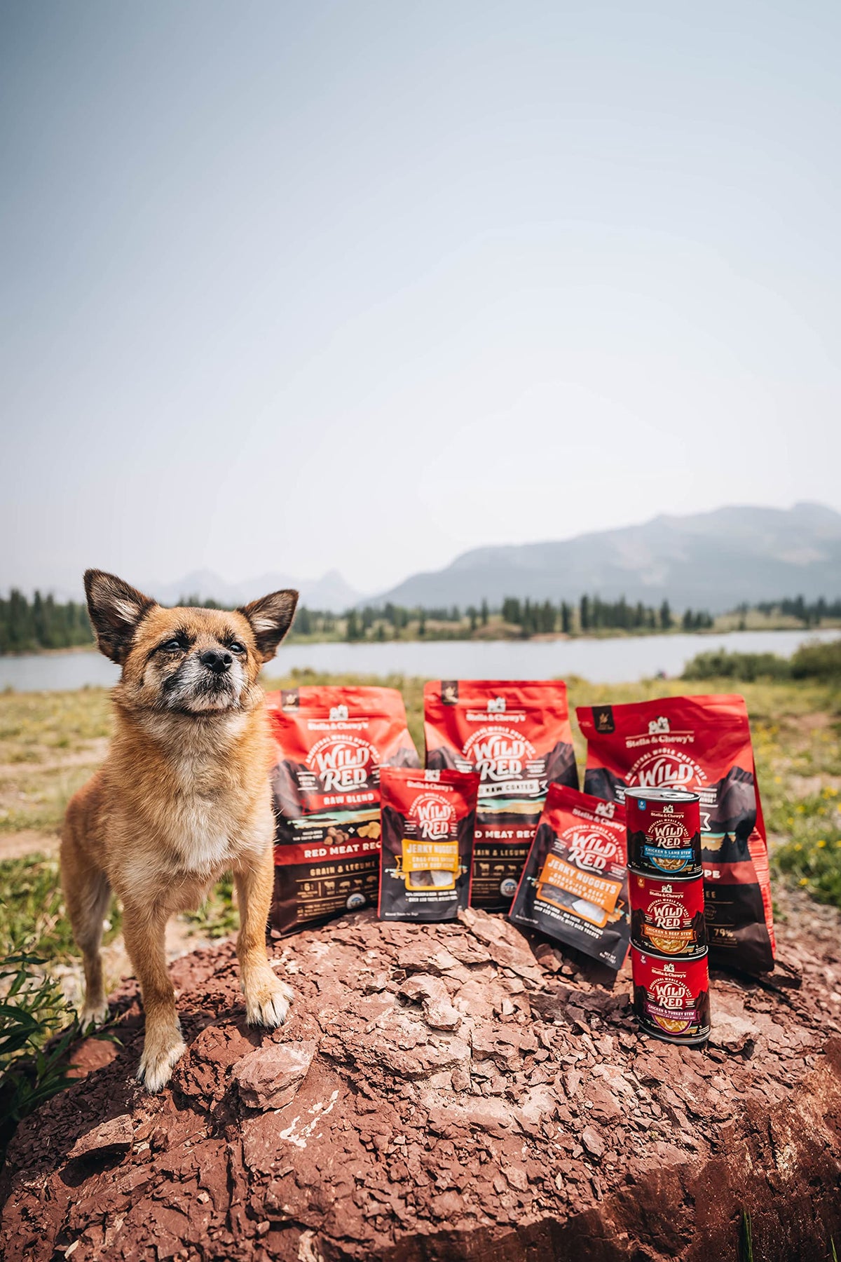 Stella & Chewy's Wild Red Dry Dog Food Raw Blend High Protein Grain & Legume Free Red Meat Recipe, 1.58kg Bag 🍁 All In One Marketplace Canada