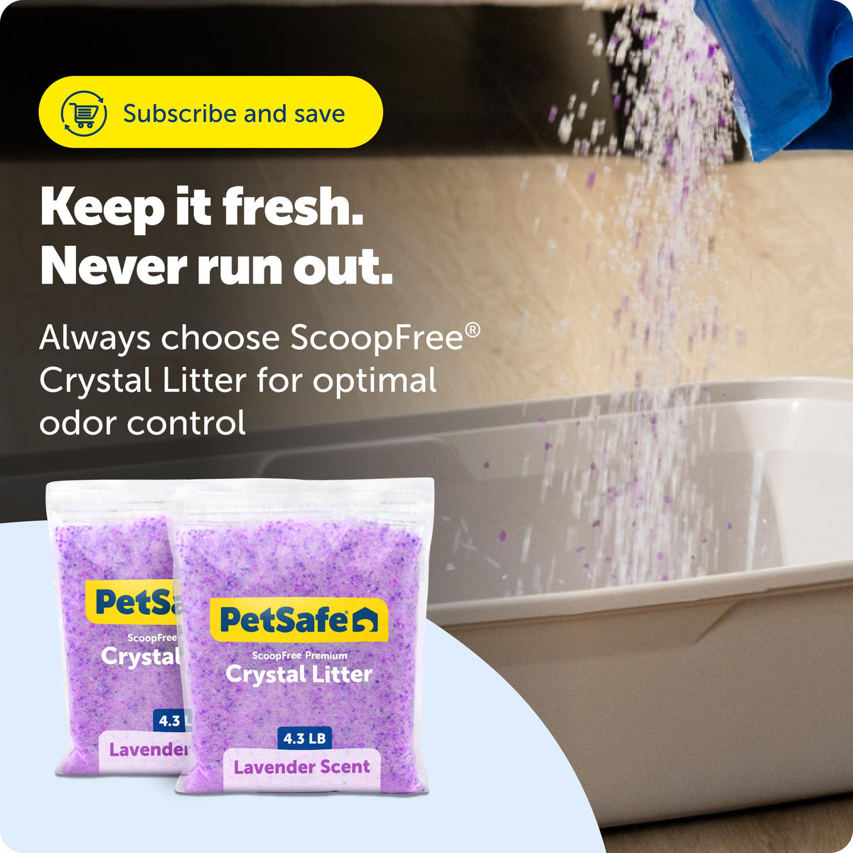 PetSafe ScoopFree Lavender Non-Clumping Crystal Cat Litter, Lightly Scented Litter โ Superior Odor Control โ Low Tracking for Less Mess โ Lasts Up to 1 Month, 8.6 Lbs Total (2 Pack of 4.3 Lb Bags) ๐ All In One Marketplace Canada