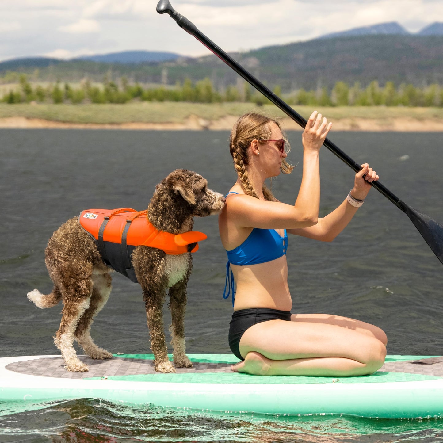 Outward Hound Granby Splash Orange Dog Life Jacket, Medium ๐ All In One Marketplace Canada