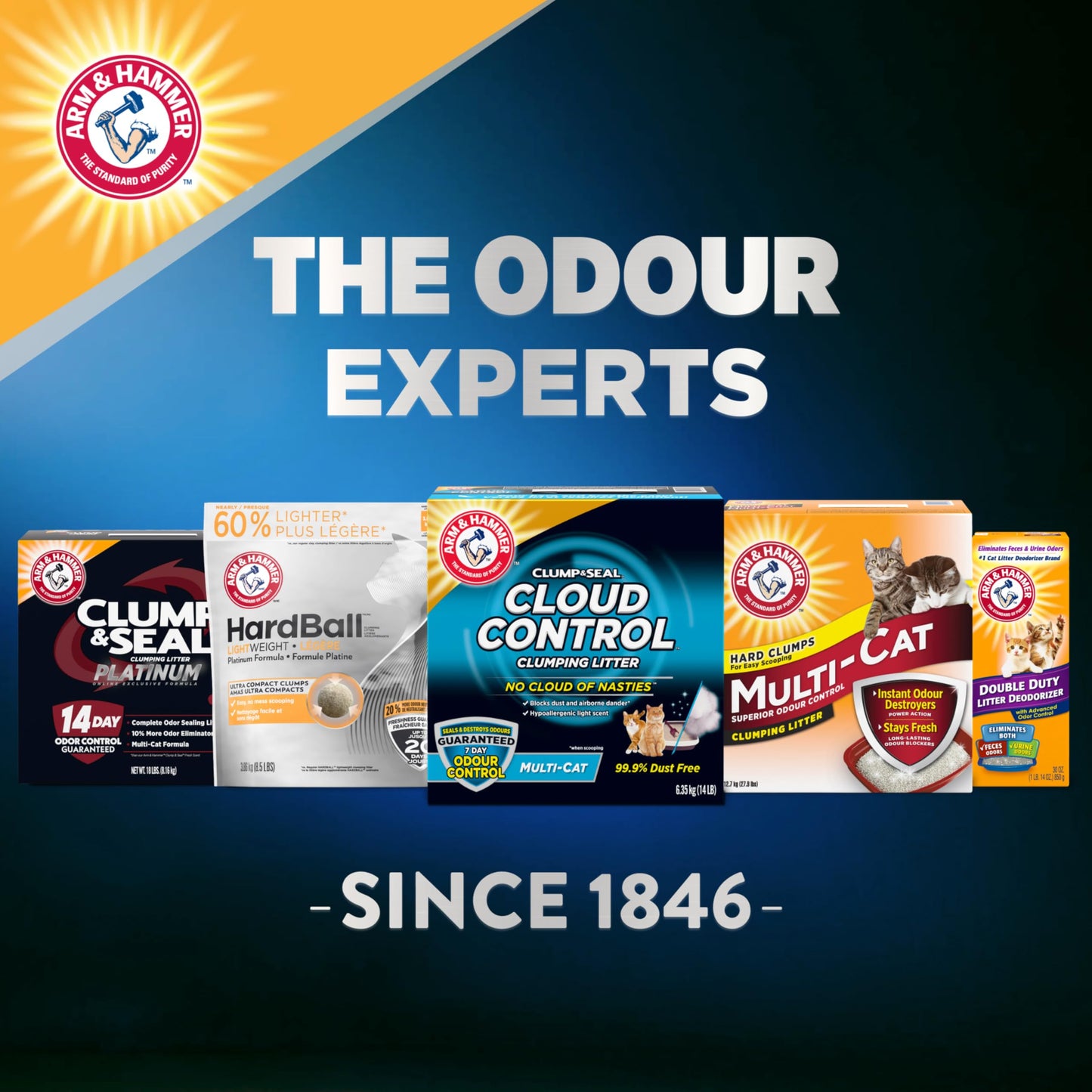 ARM & HAMMER Platinum Cat Litter, Cloud Control, Extra Strength with 14 Days of Odour Control, Multi-Cat Clumping Cat Litter with Hypoallergenic Light Scent, 12.47kg (Pack of 1) π All In One Marketplace Canada