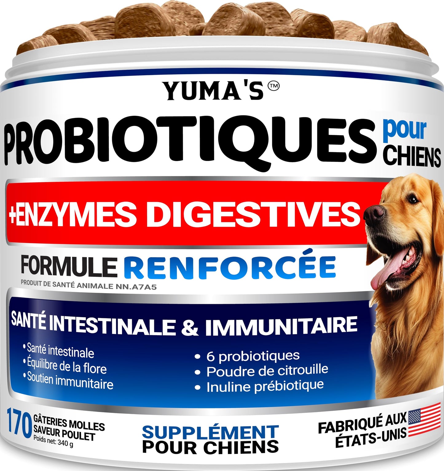 Probiotics for Dogs - 170 Chews - Helps Relieve Diarrhea, Gas & Allergies, Constipation - Dog Probiotics - Digestive & Immune Support - Prebiotics & Digestive Enzymes - Gut Health Chewable Supplement ๐ All In One Marketplace Canada