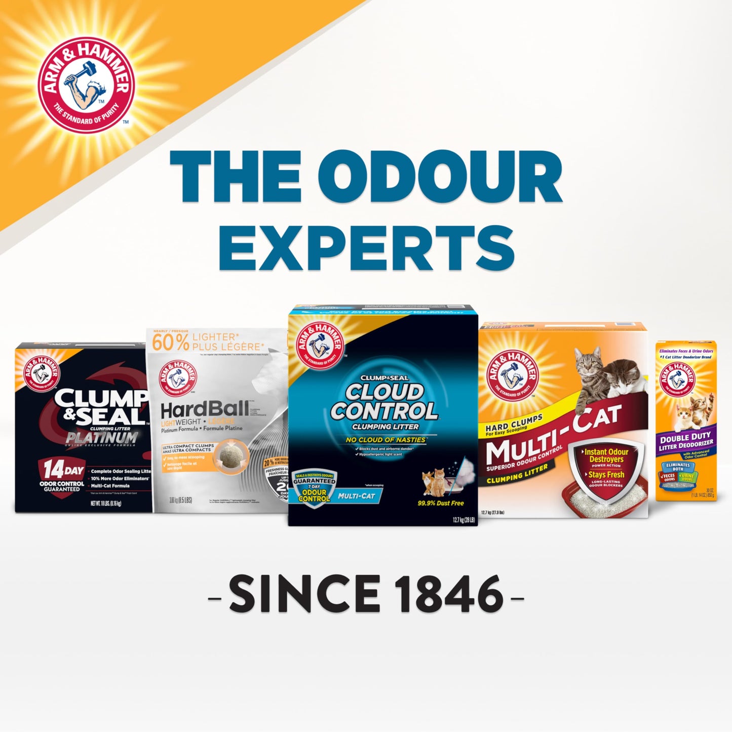 Arm & Hammer Clump & Seal Cloud Control Clay Cat Litter, Multi-Cat, 12.7kg, 7 Days of Odour Control, Dust Free, Clumping Litter (Pack of 1) π All In One Marketplace Canada