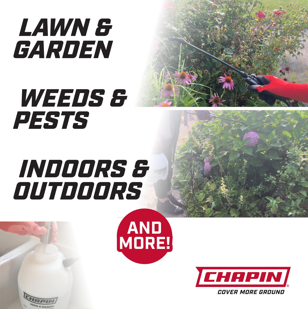 Chapin 16200 Home and Garden Poly Sprayer, 2-Gallon ๐ All In One Marketplace Canada