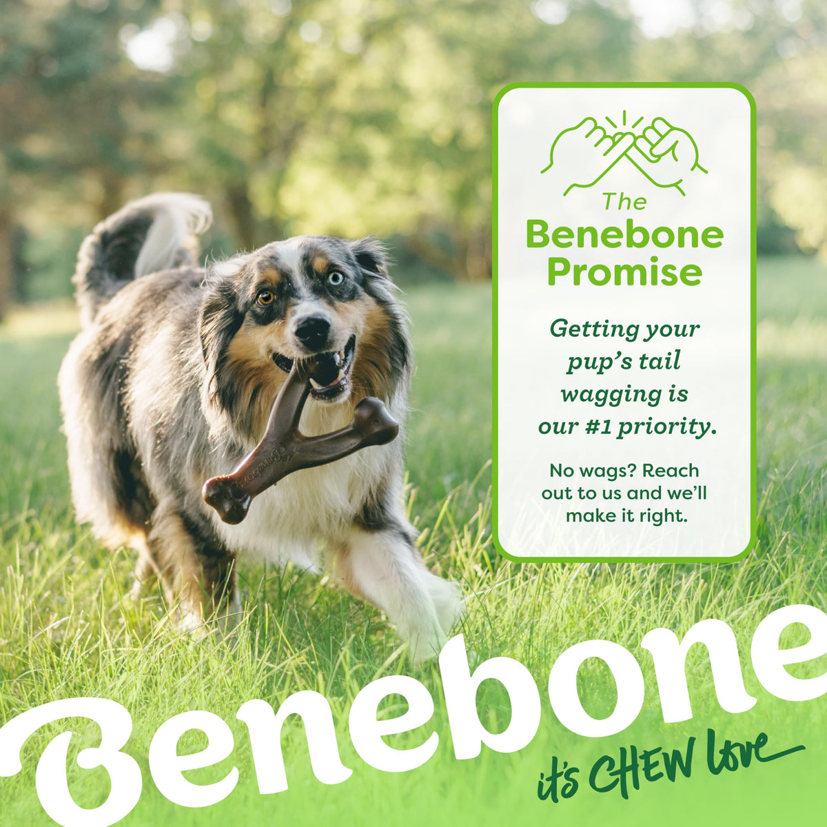 Benebone 3-Pack Wishbone Dog Chew Toy for Aggressive Chewers, Medium ๐ All In One Marketplace Canada