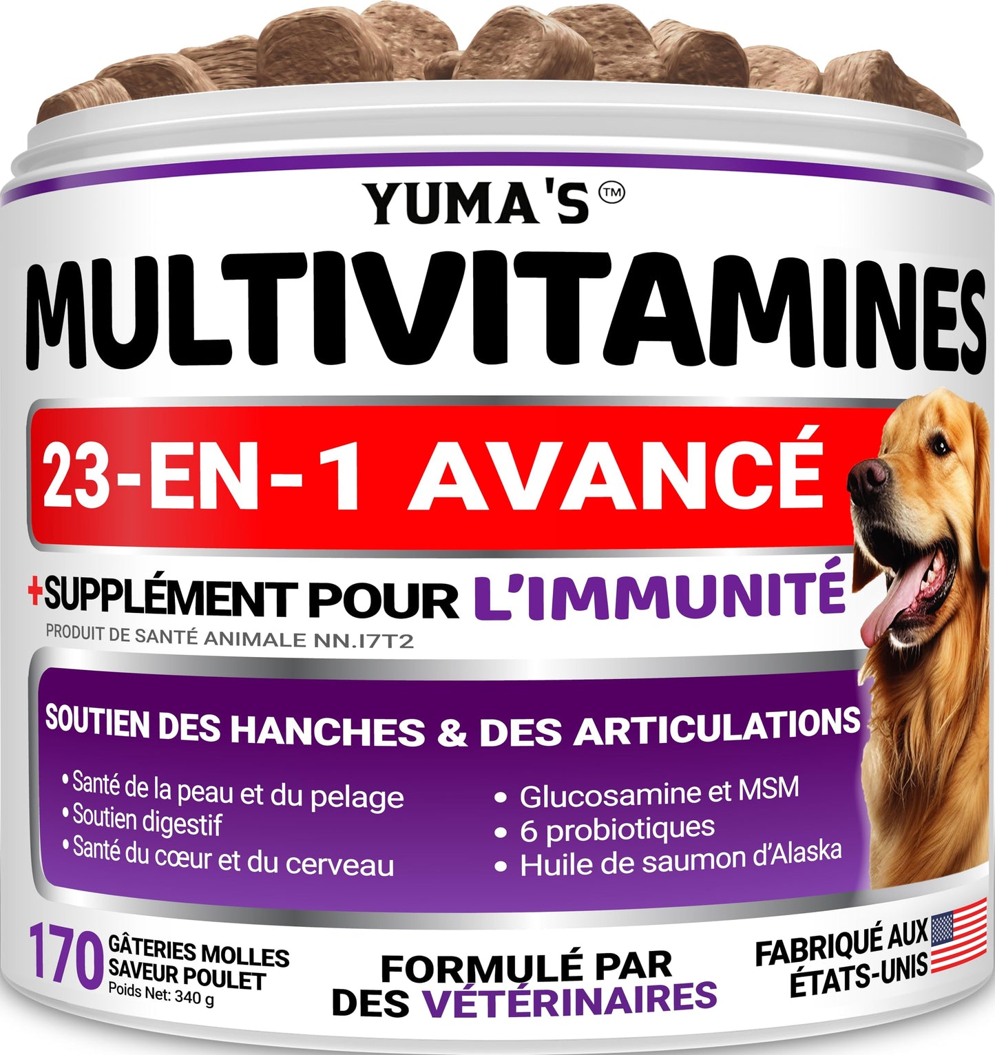Dog Multivitamin Chewable with Glucosamine - 170 Chews - Dog Vitamins and Supplements 23 in 1 - Senior & Puppy Multivitamin for Dogs - Hip & Joint Support - Immune Health, Skin, Digestion š All In One Marketplace Canada