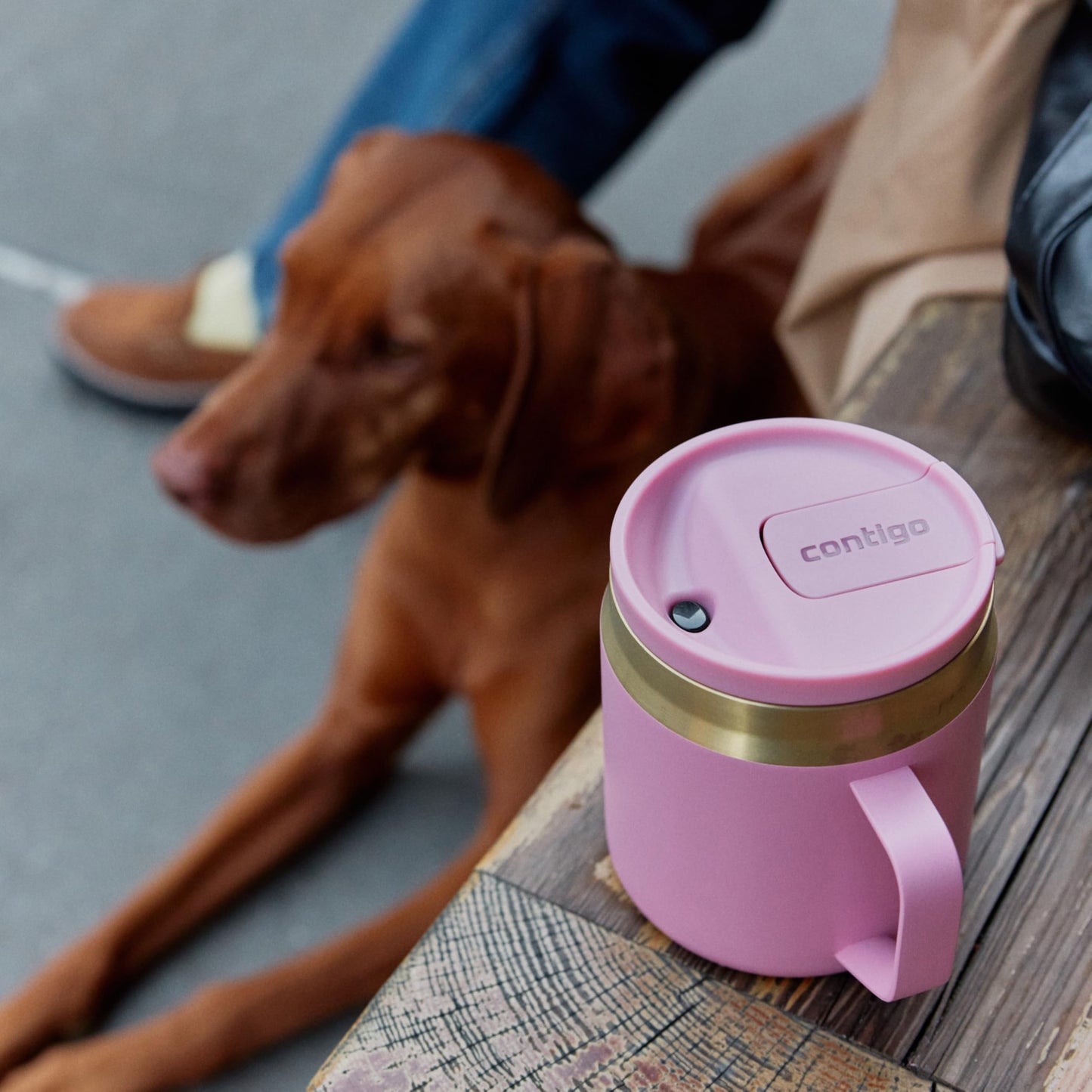 Contigo SnapSeal 14 oz Office Mug | Vacuum-Insulated Stainless Steel Tumbler for Hot Coffee & Tea or Cold Drinks | Spill-Proof Lid w/Straw Compatibility | BPA & Lead-Free | Dishwasher Safe ๐ All In One Marketplace Canada