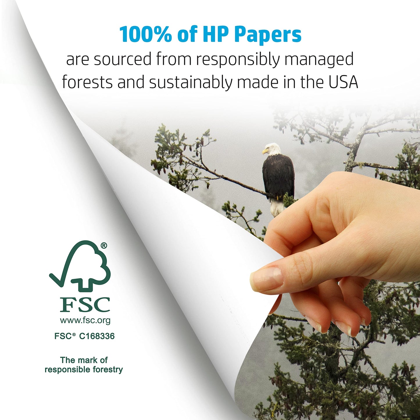HP Printer Paper 8.5x11 Office 20 lb 5 Ream Case 2500 Sheets 92 Bright Made in USA FSC Certified Copy Paper HP Compatible 112150C ๐ All In One Marketplace Canada