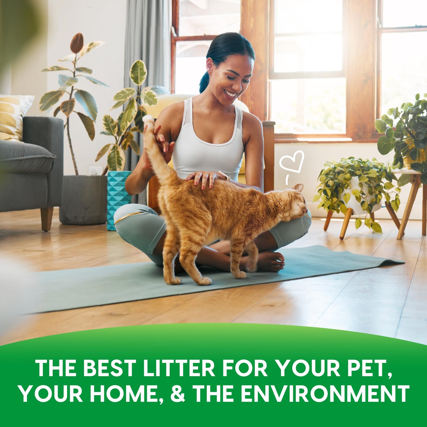 Fresh News Cat Litter, 25 Pounds, Beige ๐ All In One Marketplace Canada