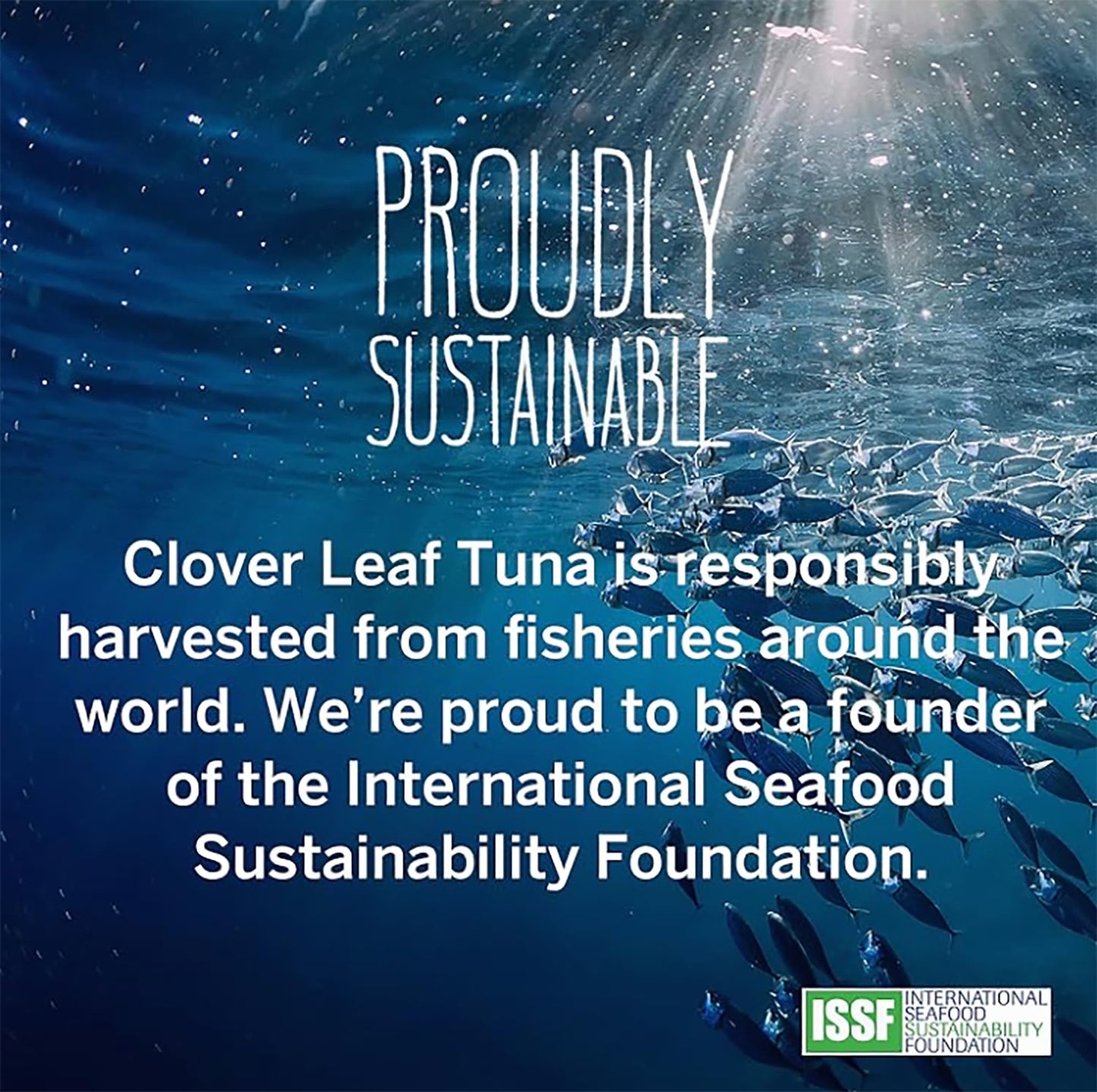 Clover Leaf Tomato & Onion Flavoured Tuna, 85g, 24 Count ๐ All In One Marketplace Canada