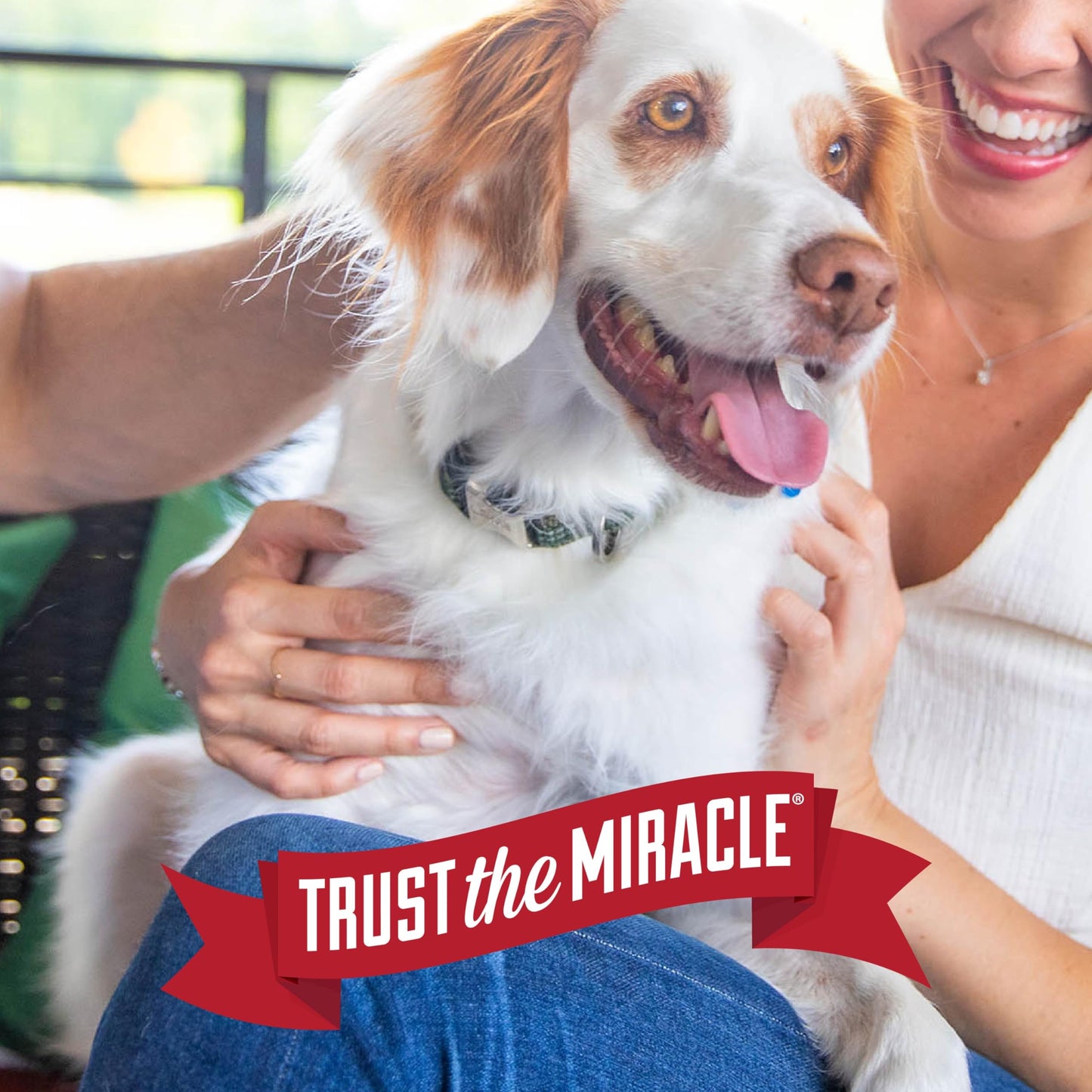 Nature's Miracle Advanced Stain & Odor Remover - 128Oz Pour π All In One Marketplace Canada