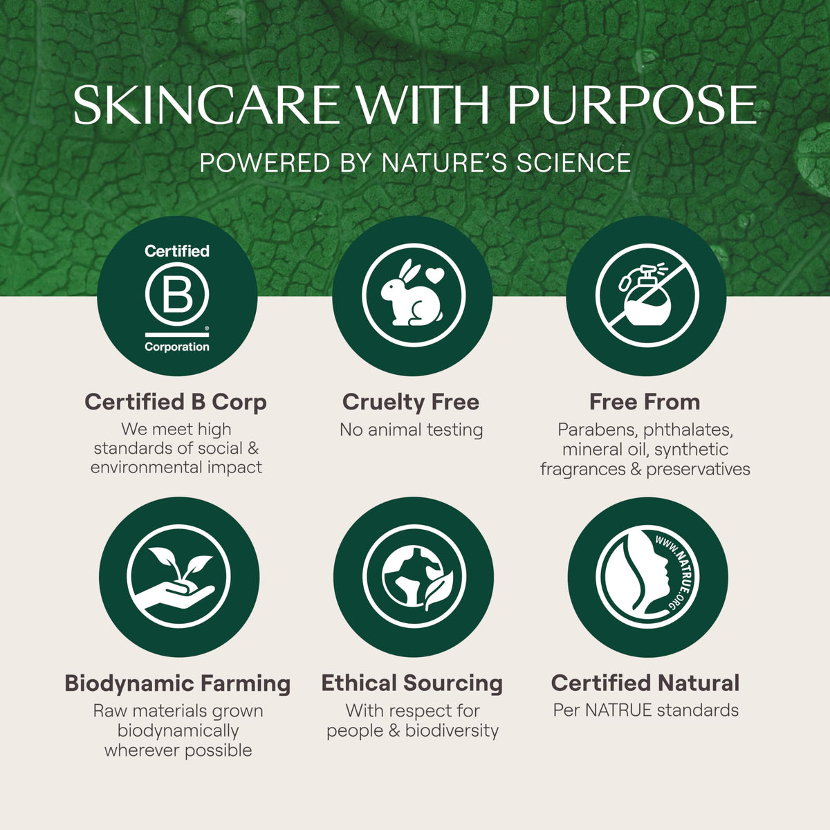 Weleda Diaper Rash Cream,soothing, 81 grams , Kids ๐ All In One Marketplace Canada