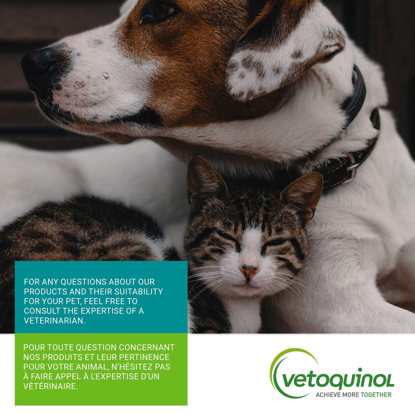 Vetoquinol Flexadin Advanced (with boswellia) – Dog Joint Supplement – One Chew a Day for Dogs - 60 Chews 🍁 All In One Marketplace Canada