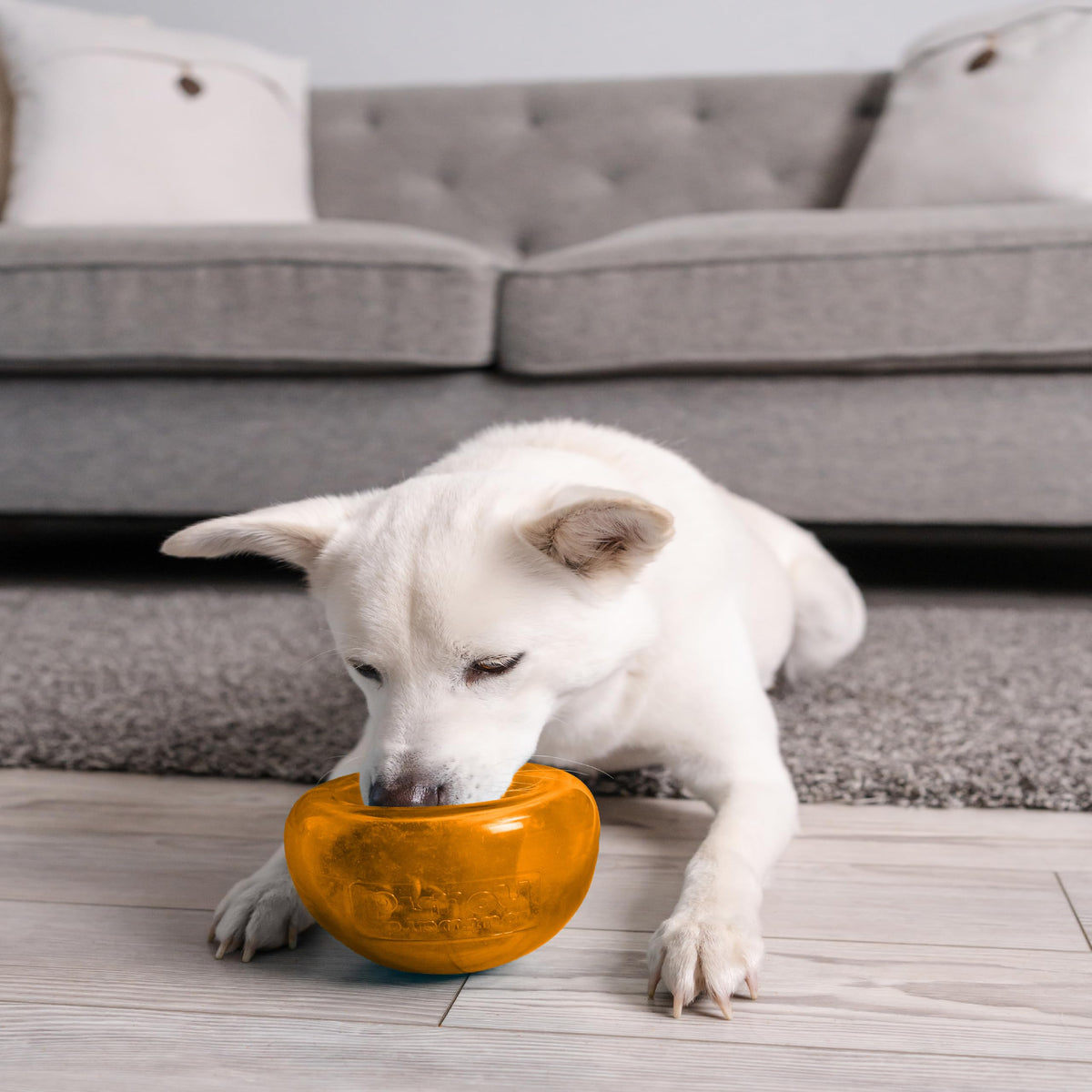 Outward Hound Snoop Dog Toy – Treat‑Dispenser Puzzle Ball, Interactive Slow Feeder, Medium to Large Dogs, Bouncy & Mint-Infused, Orange, 5" 🍁 All In One Marketplace Canada