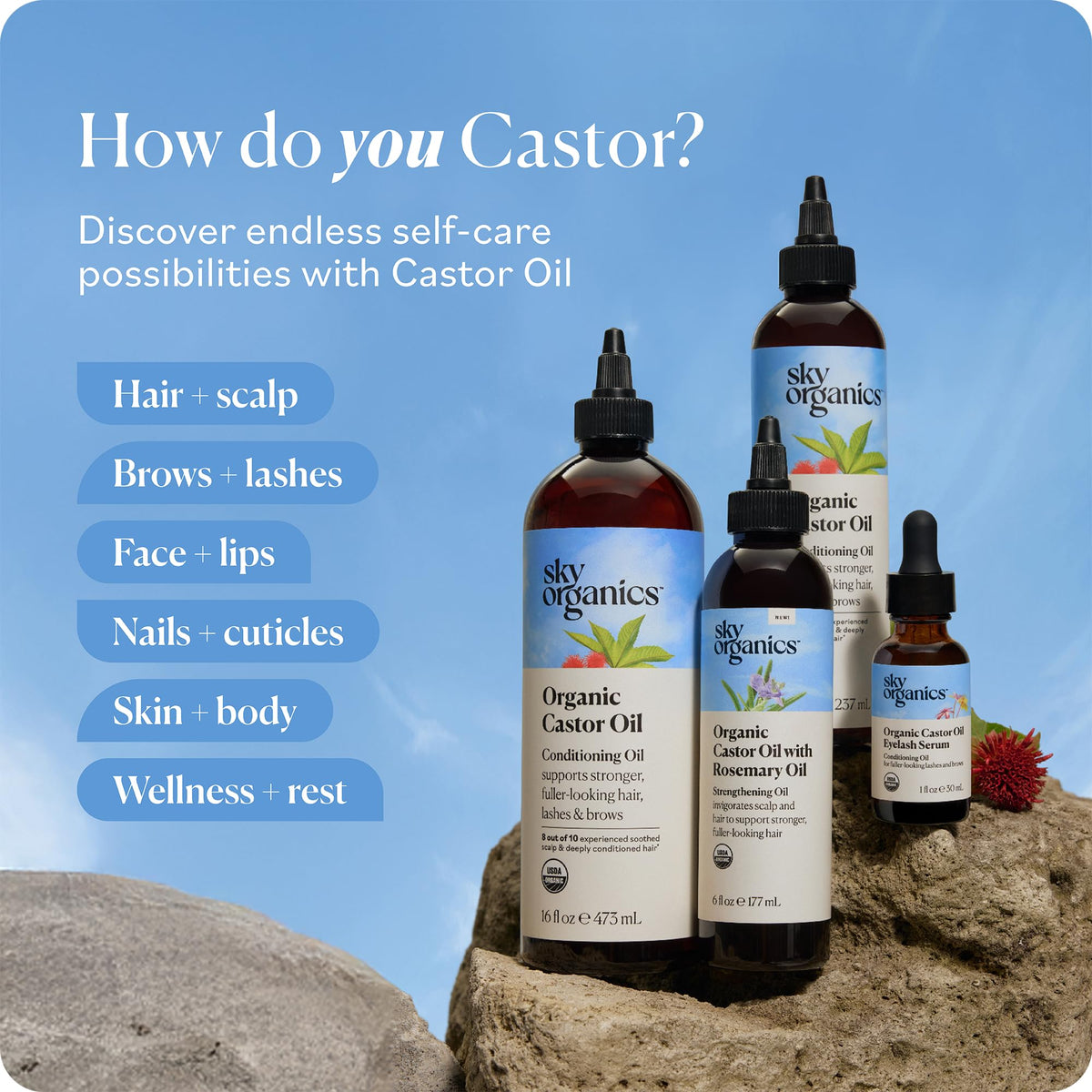 Sky Organics USDA Organic Castor Oil and Rosemary Oil, Strengthening Hair Oil Blend, Pure & Potent, Hexane-Free, Invigorates Scalp, Supports Fuller-Looking Hair, 6 fl oz ๐ All In One Marketplace Canada