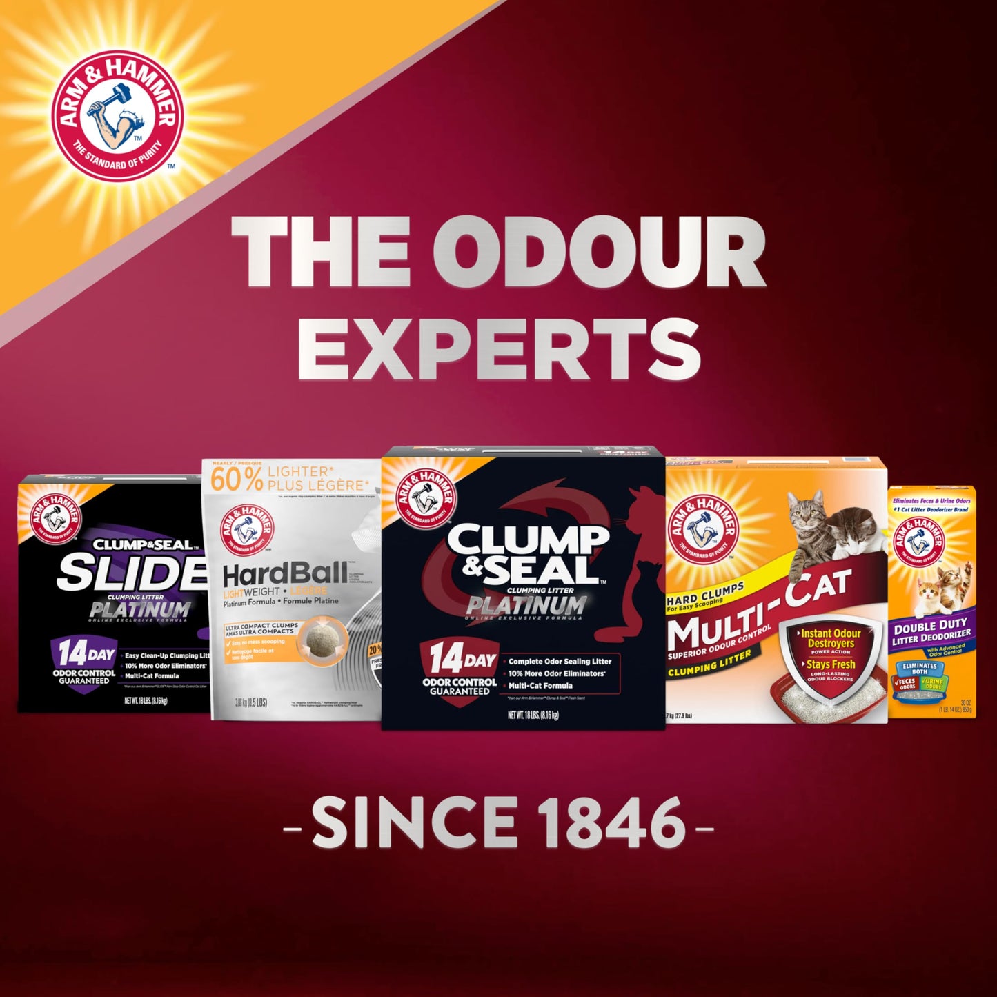 ARM & HAMMER Platinum Cat Litter Clump & Seal Complete Odour Sealing with 14 Days of Odour Control Multi-Cat, Hard Clumping Clay, 99.99% Dust Free 8.16kg (Pack of 1) π All In One Marketplace Canada