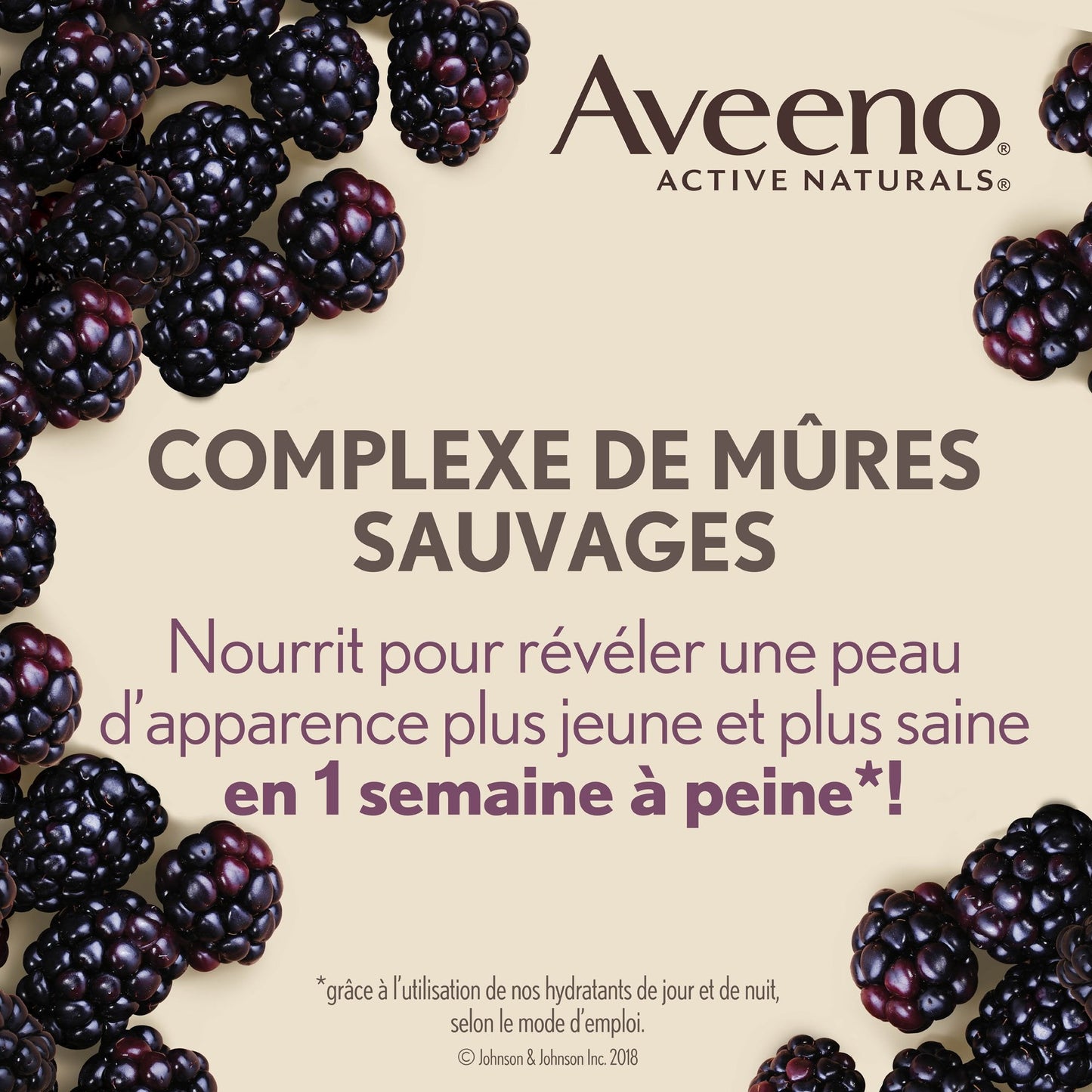 Aveeno Absolutely Ageless Daily Face Moisturizer with SPF 30 Sunscreen â Anti-Aging Wrinkle Cream with Blackberry Complex, Vitamins C & E â Hydrating Facial Moisturizer for Firmer Even Skin Tone 50 mL đ All In One Marketplace Canada