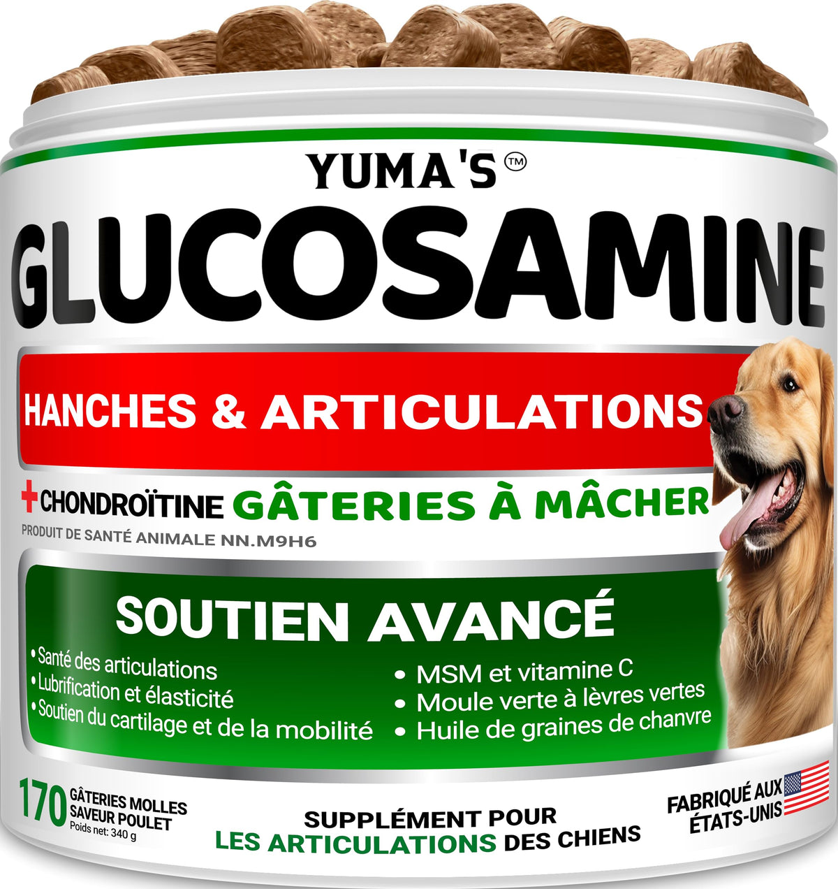 Glucosamine for Dogs - 170 Chews - Hip and Joint Supplement for Dogs - Glucosamine Chondroitin Chews - Joint Pain Relief Supplement with MSM - Advanced Health - Mobility Support - Made in USA š All In One Marketplace Canada