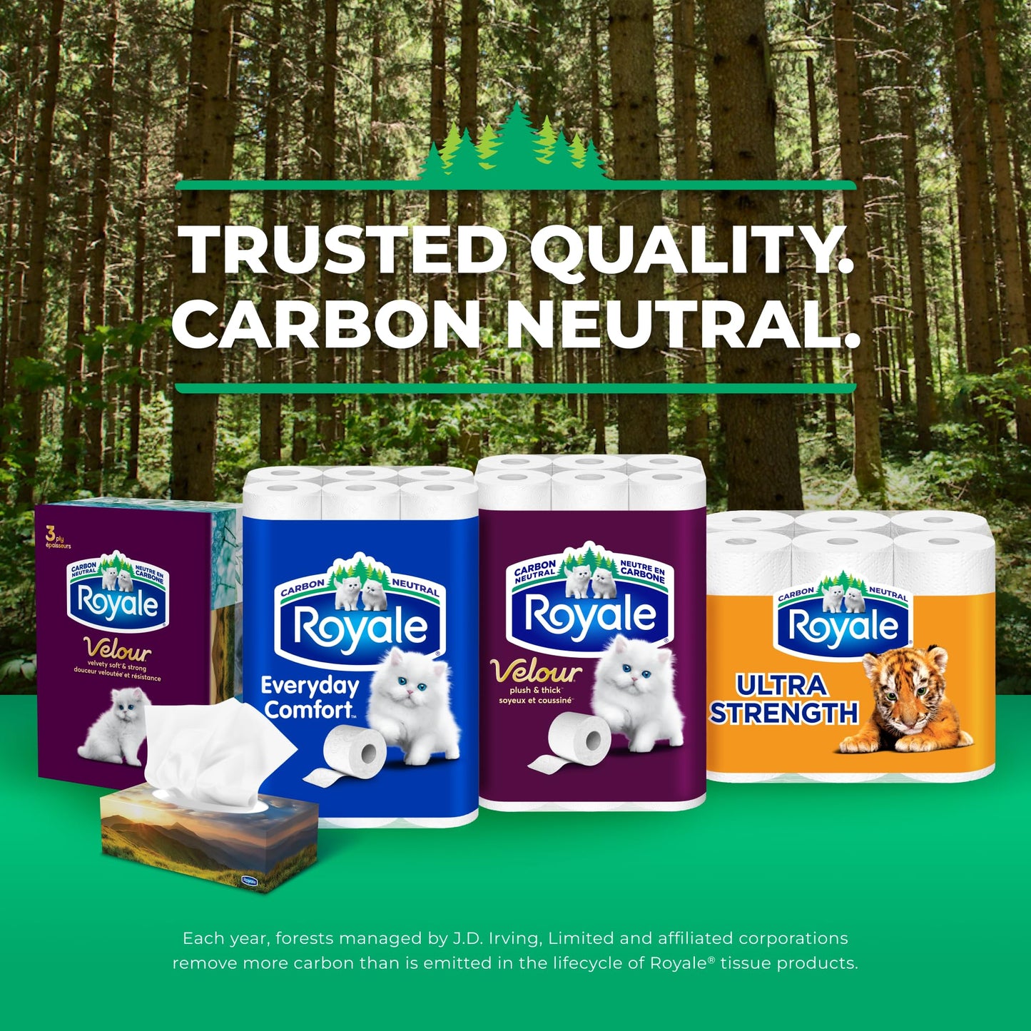 Royale 3-Ply Strong Toilet Paper, 48 Equal 96 Rolls, 165 Bathroom Tissues per roll ๐ All In One Marketplace Canada